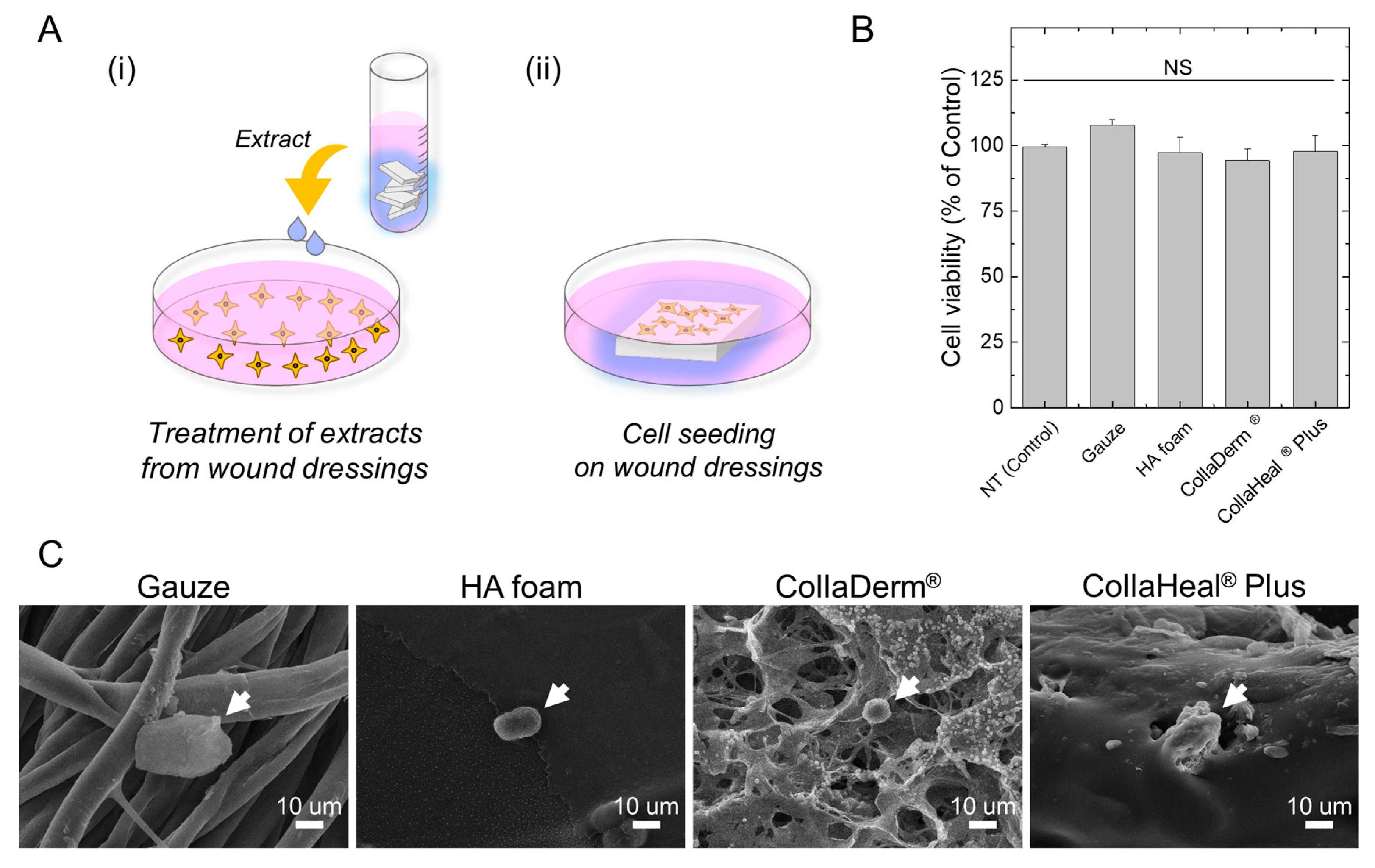 Biomedicines 12 00510 g003