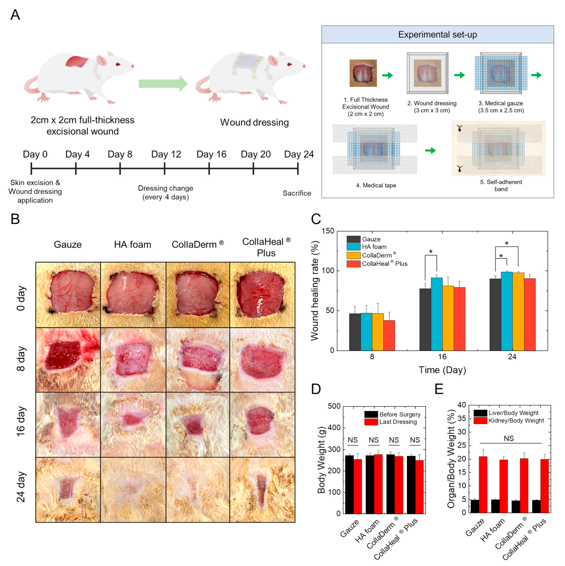 Biomedicines 12 00510 g004