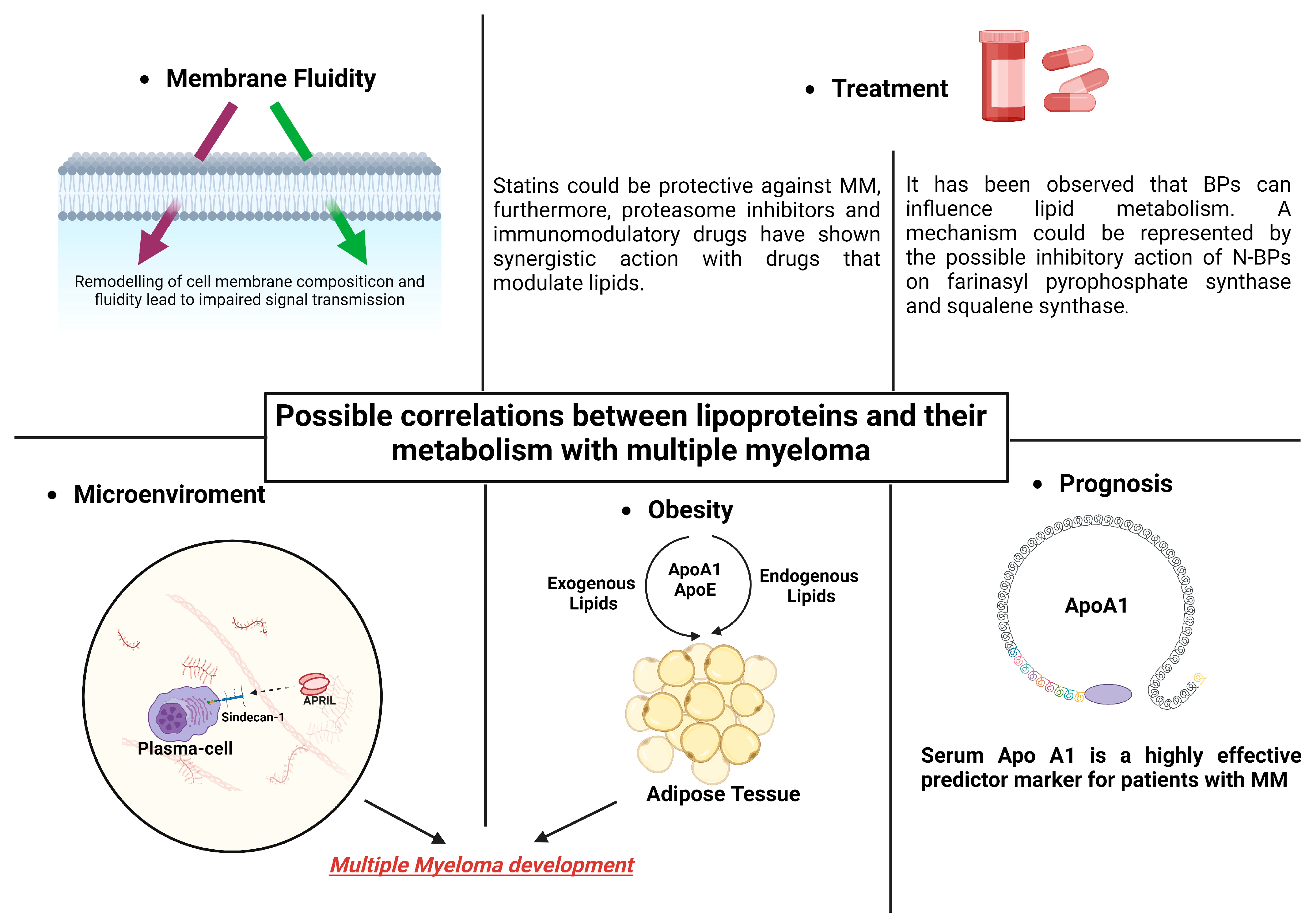 Biomedicines 12 00514 g002