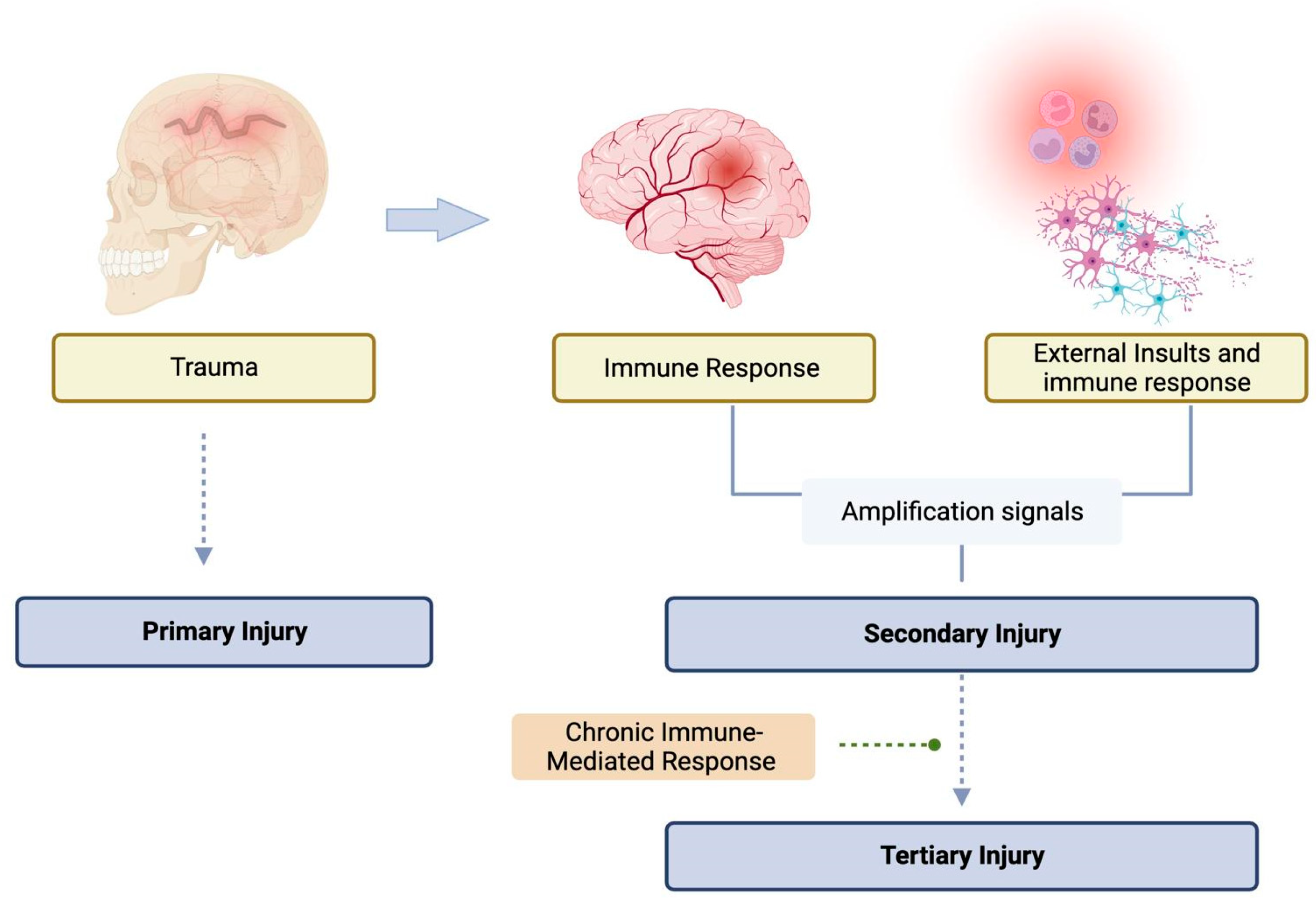 Pathophysiology Based Traumatic Brain Injury Encyclopedia MDPI pathophysiology-based-traumatic-brain-injury-encyclopedia-mdpi