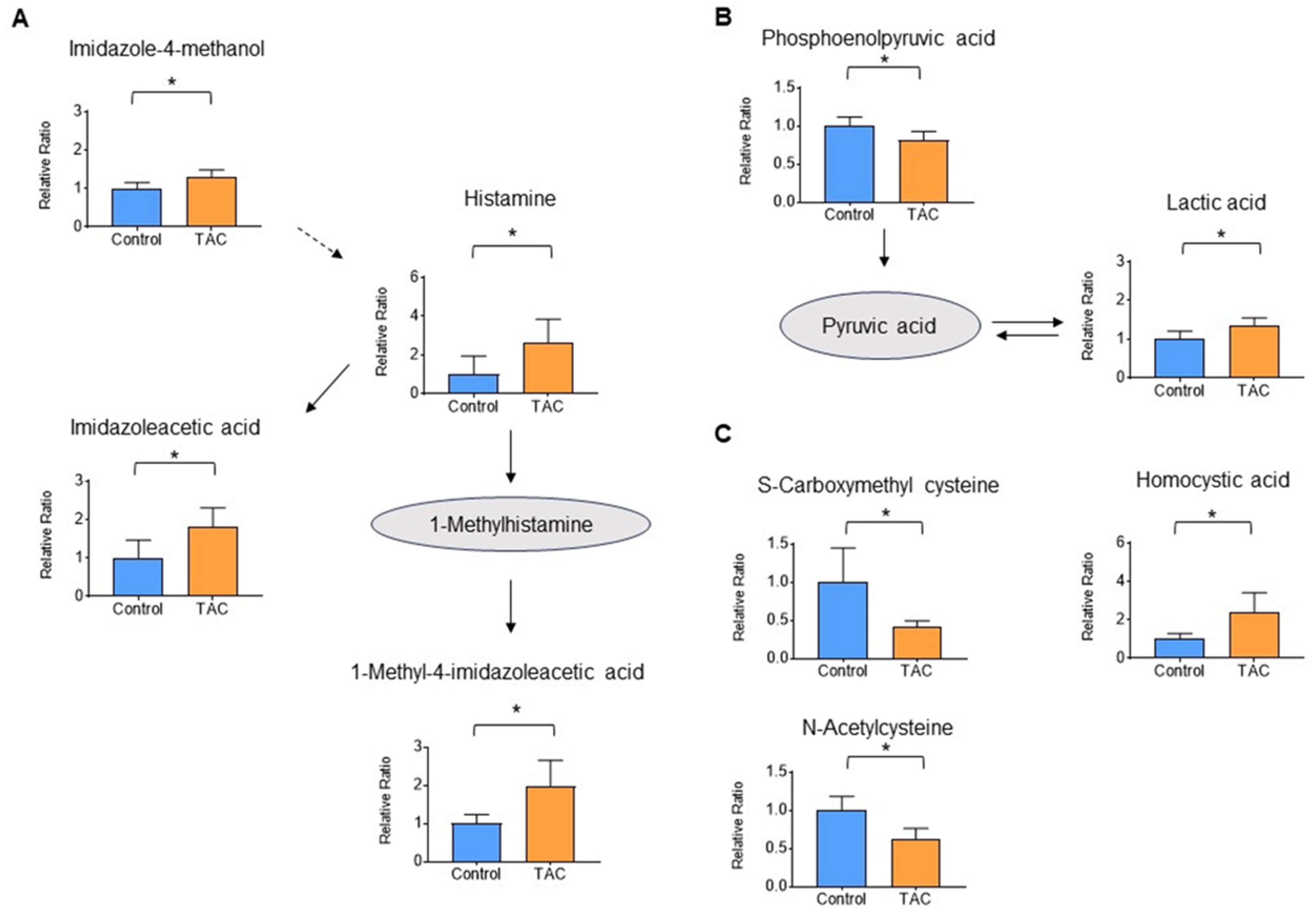 Biomedicines 12 00521 g006