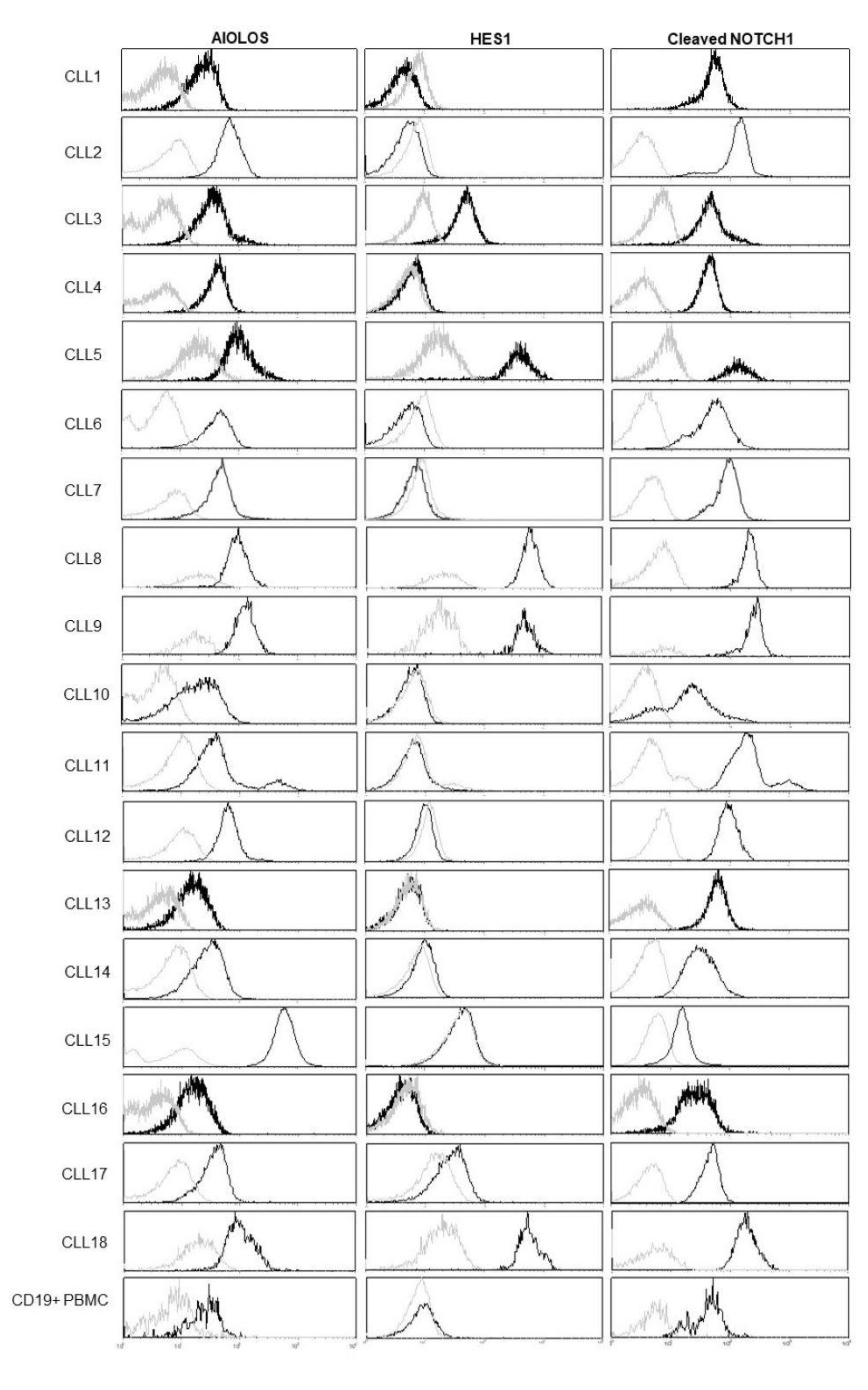 Biomedicines 12 00524 g001