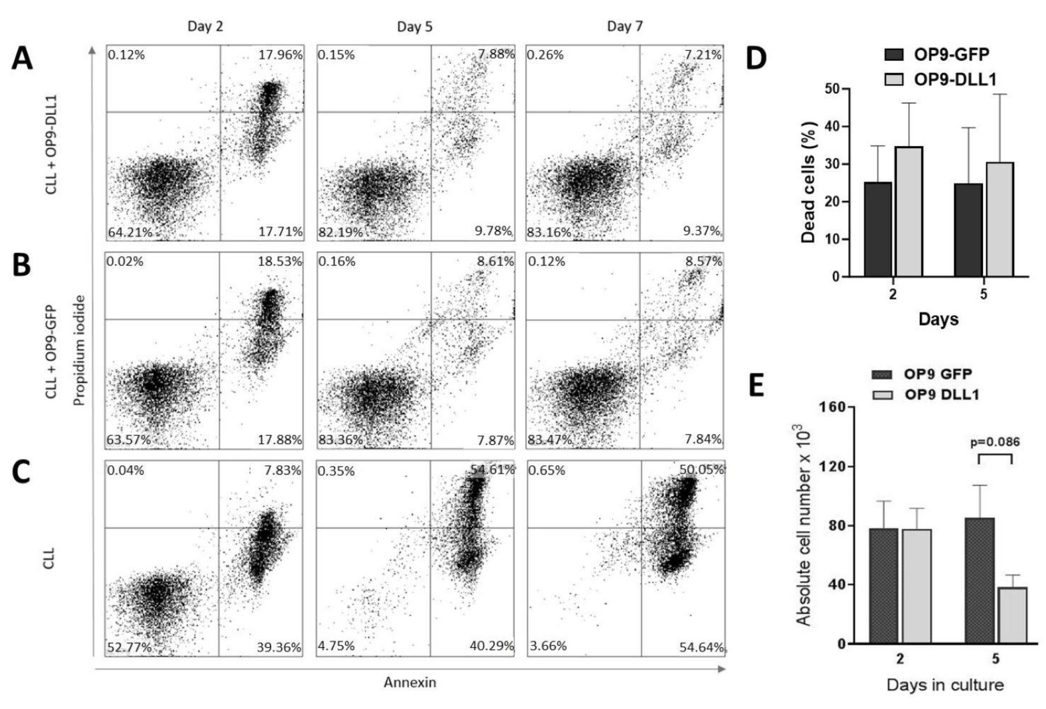 Biomedicines 12 00524 g007