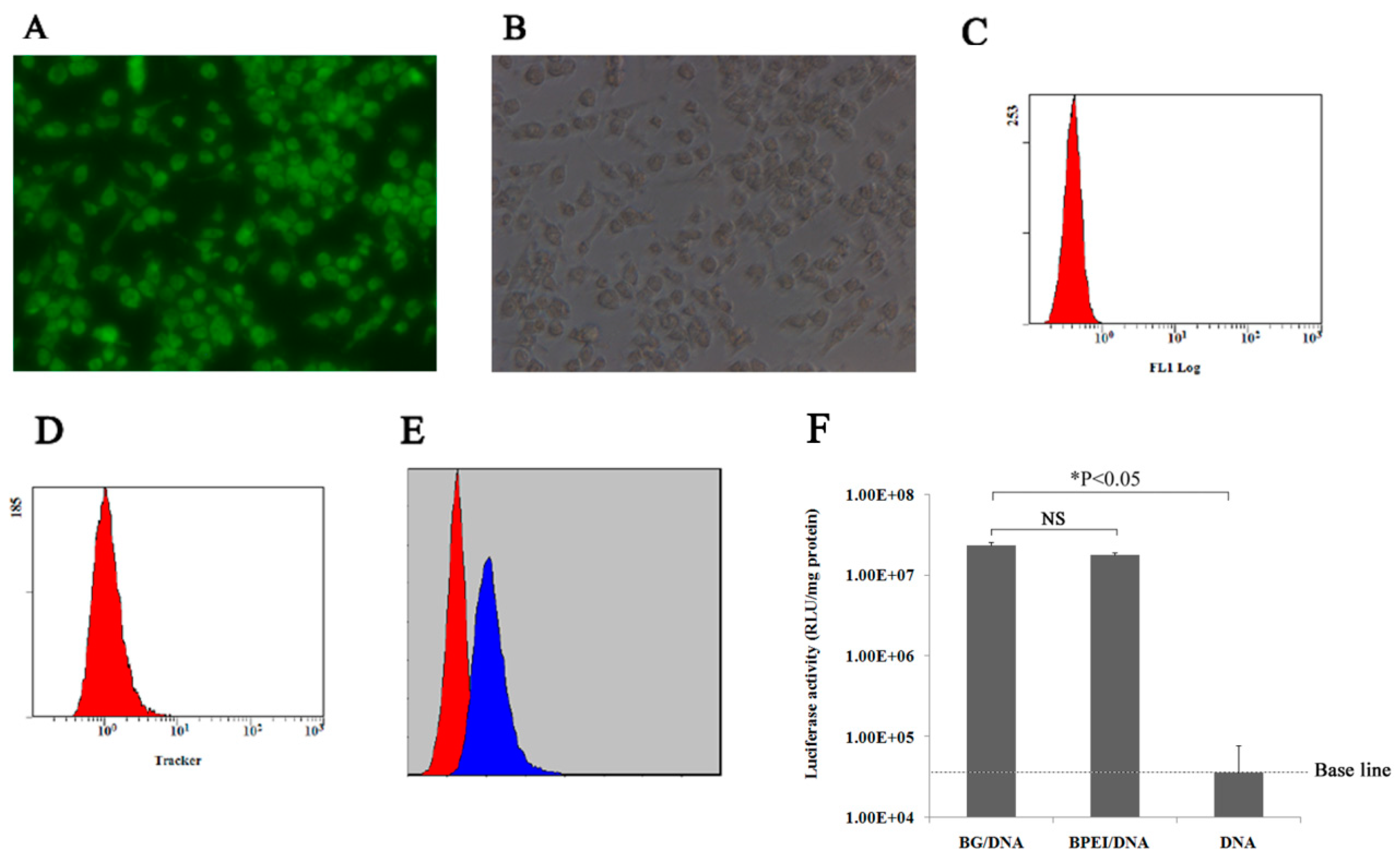 Biomedicines 12 00525 g005 Biomedicines 12 00525 g005