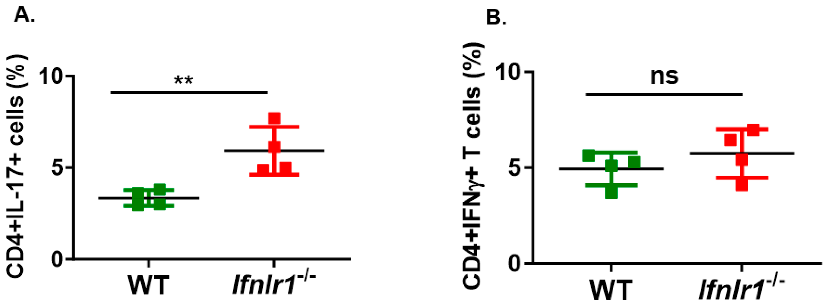 Biomedicines 12 00526 g003