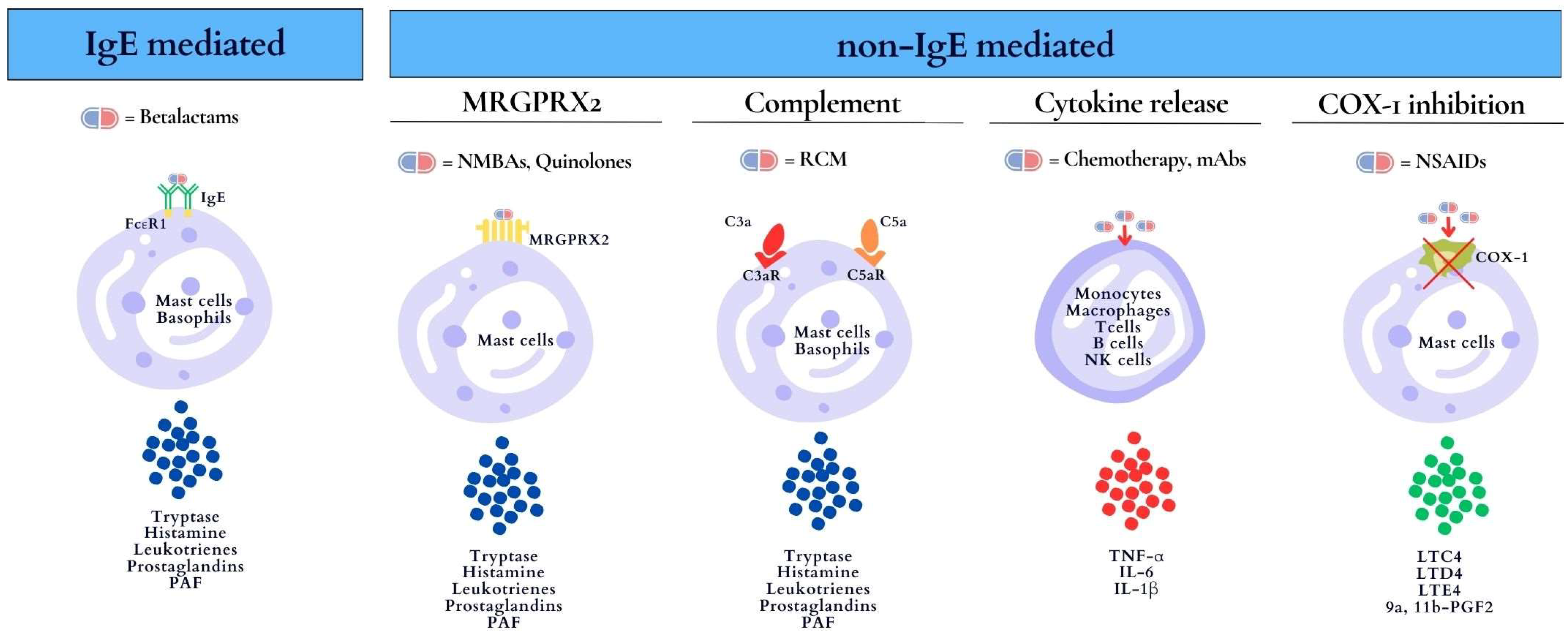 Biomedicines 12 00527 g001