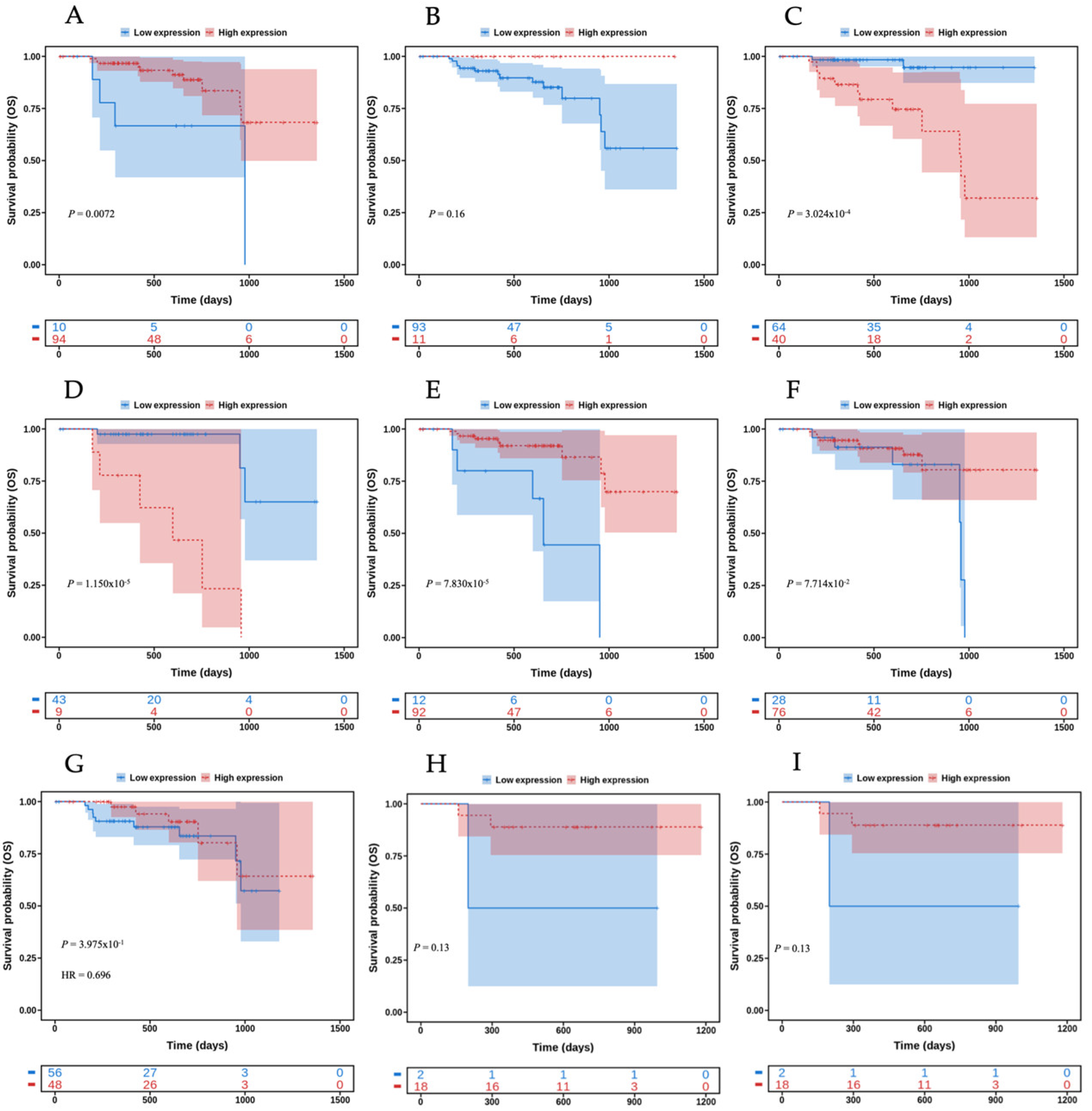 Biomedicines 12 00529 g001