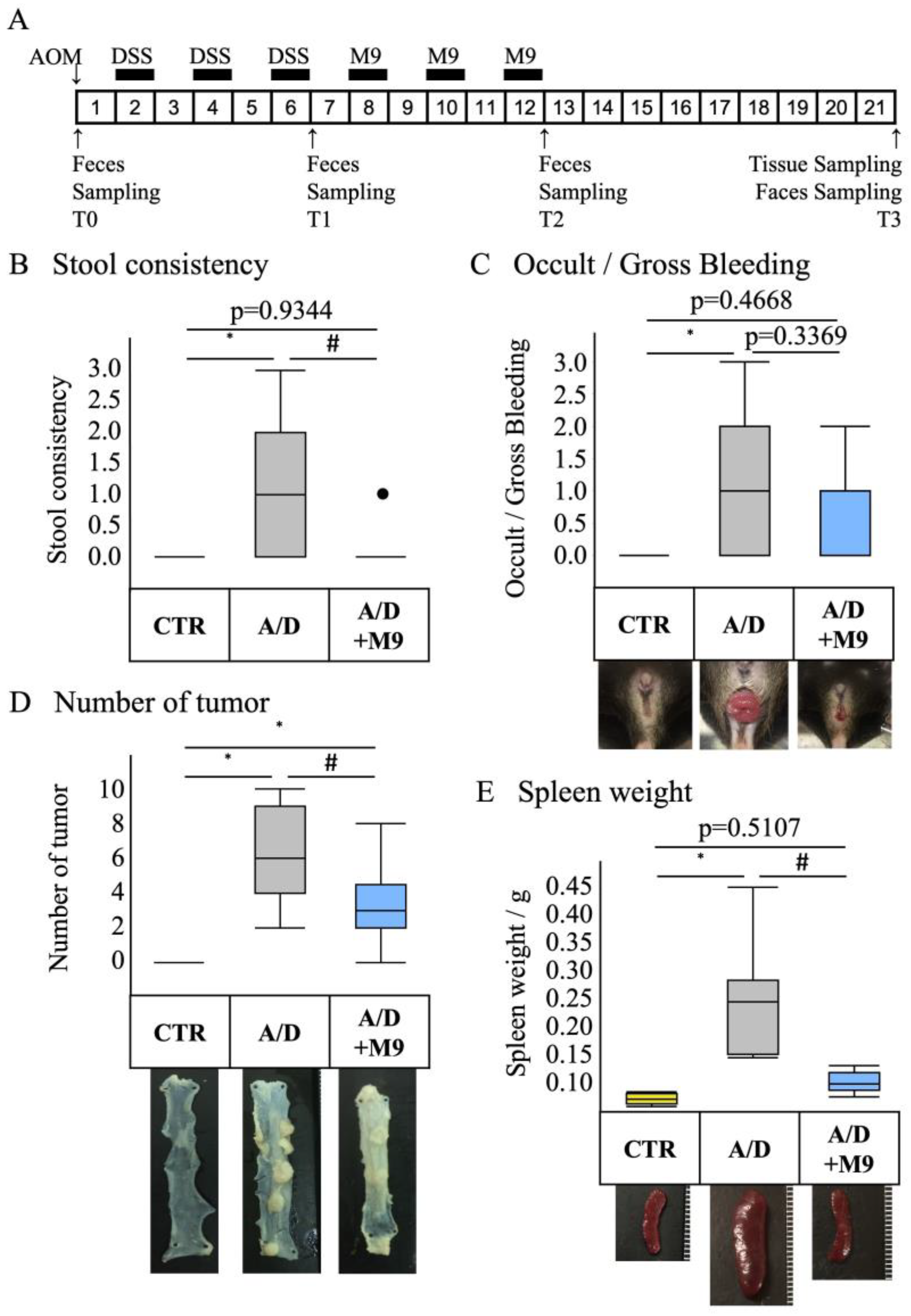Biomedicines 12 00531 g001