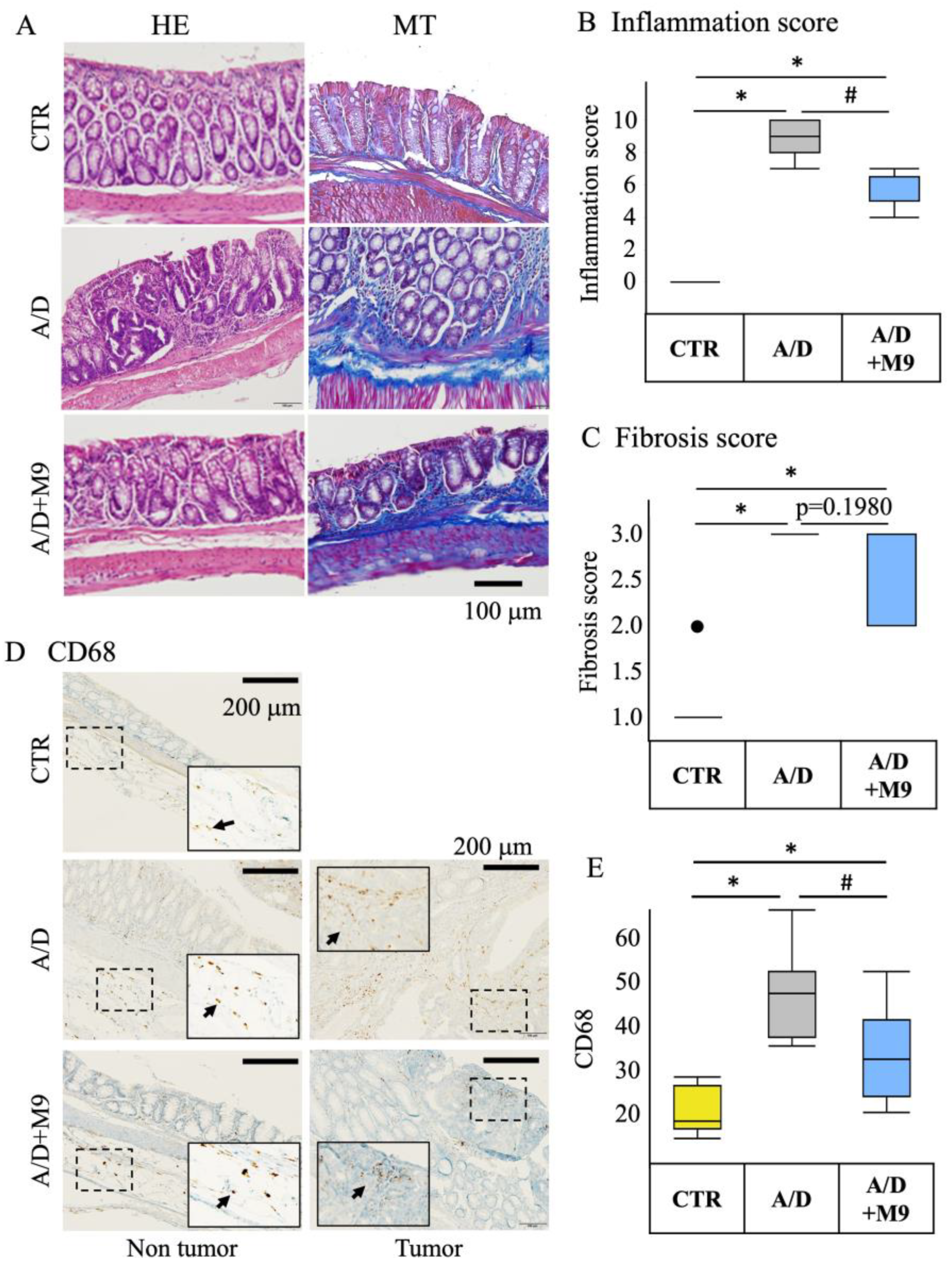Biomedicines 12 00531 g002