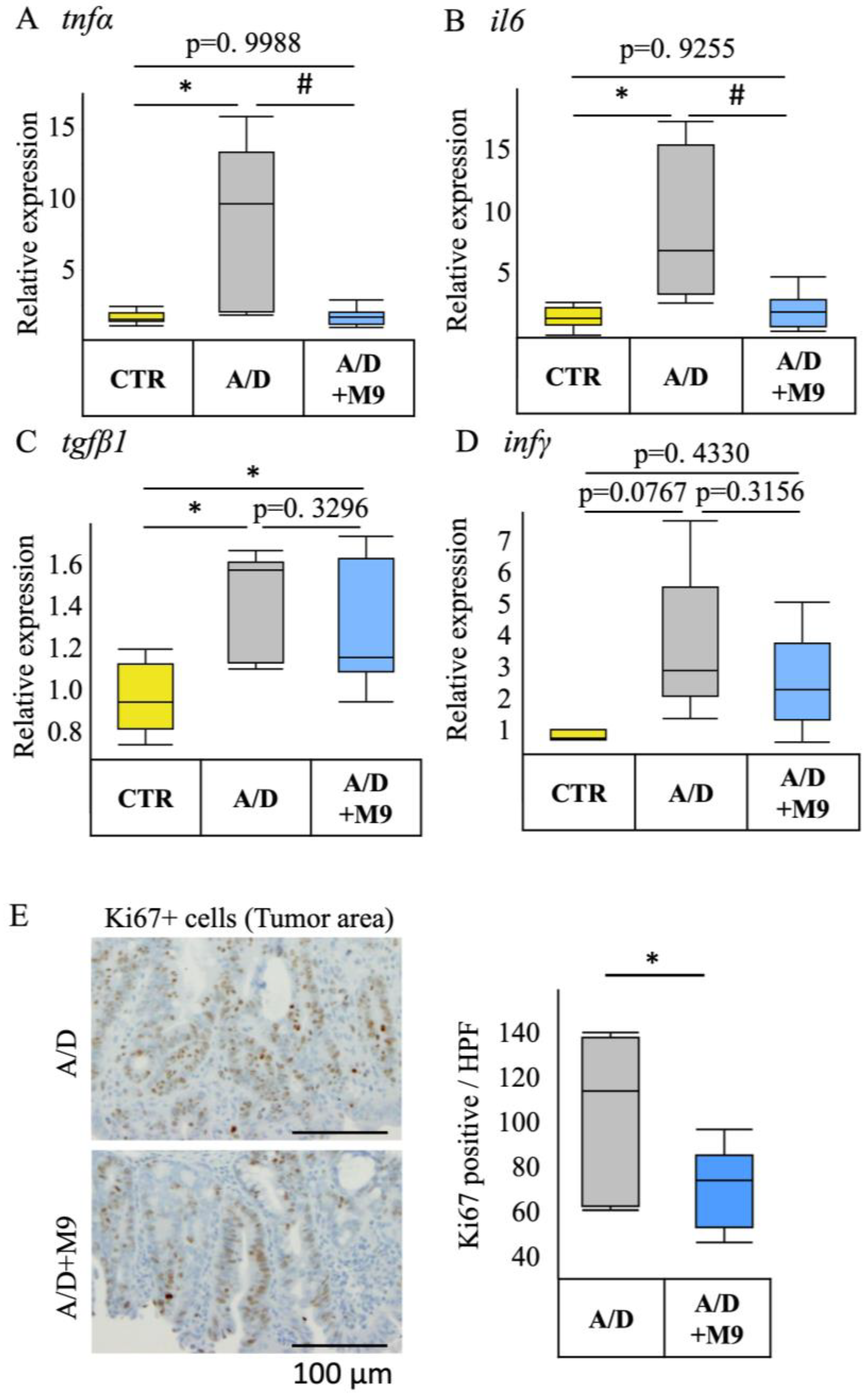 Biomedicines 12 00531 g003