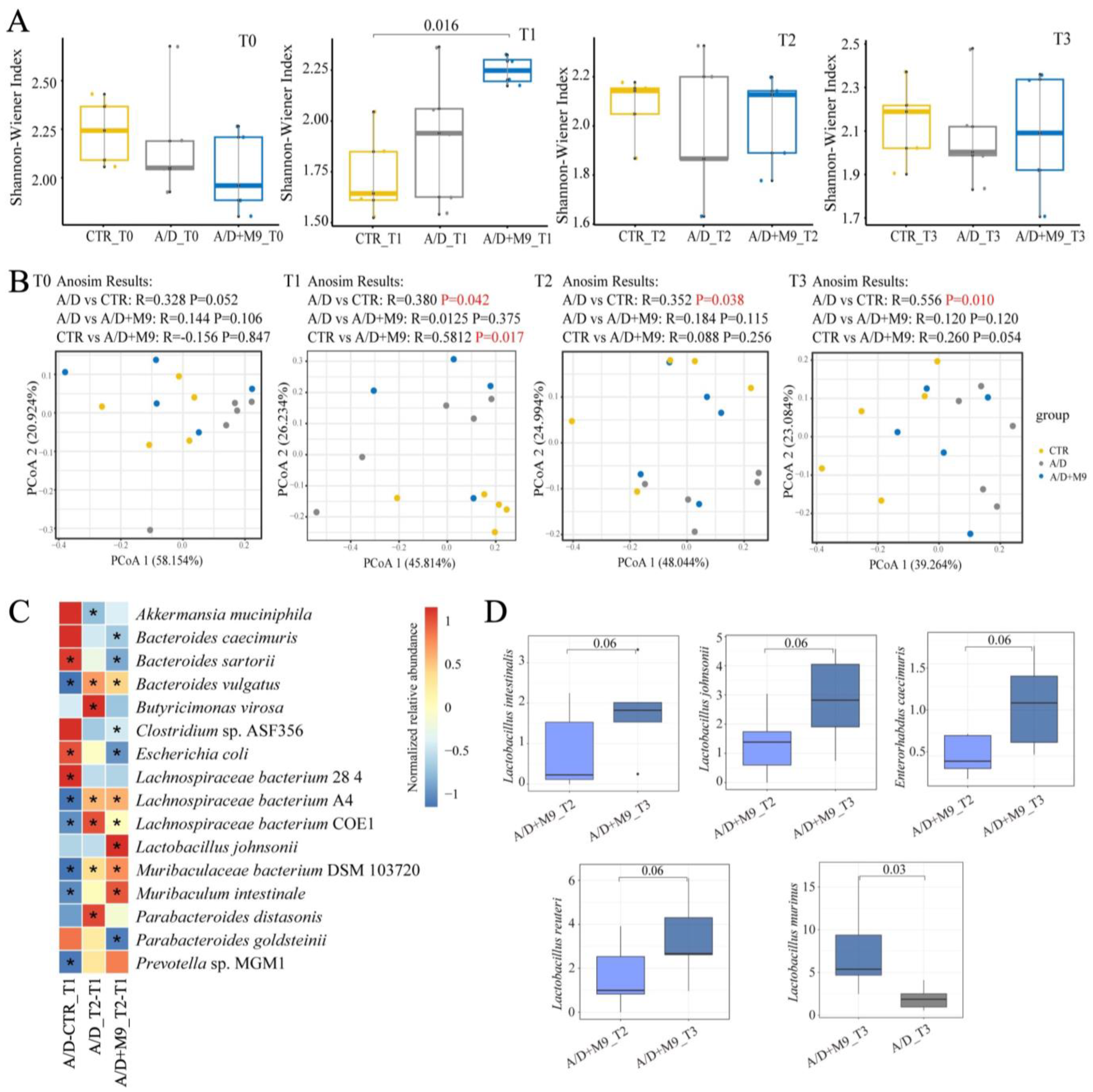 Biomedicines 12 00531 g004