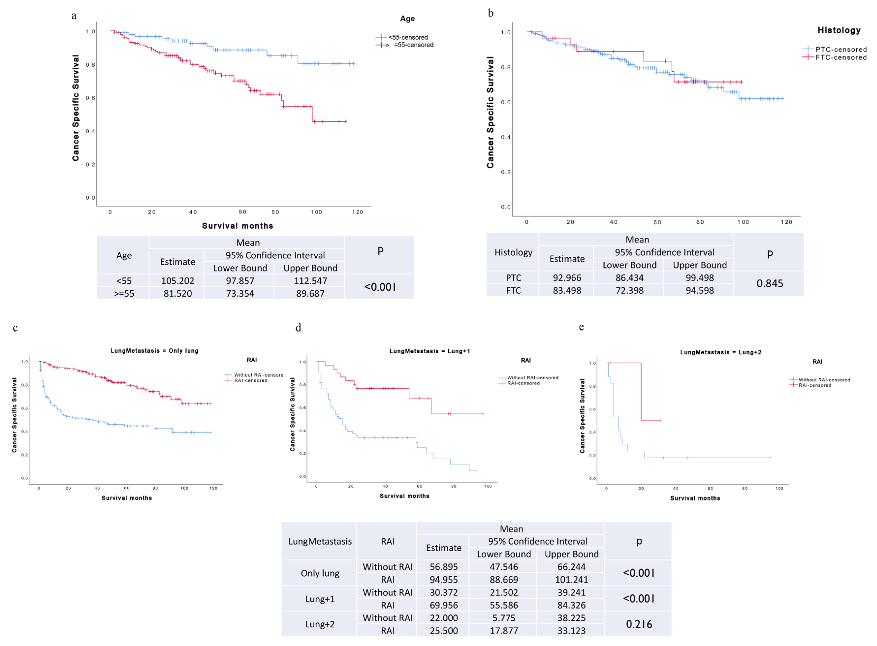 Biomedicines 12 00532 g002 Biomedicines 12 00532 g002