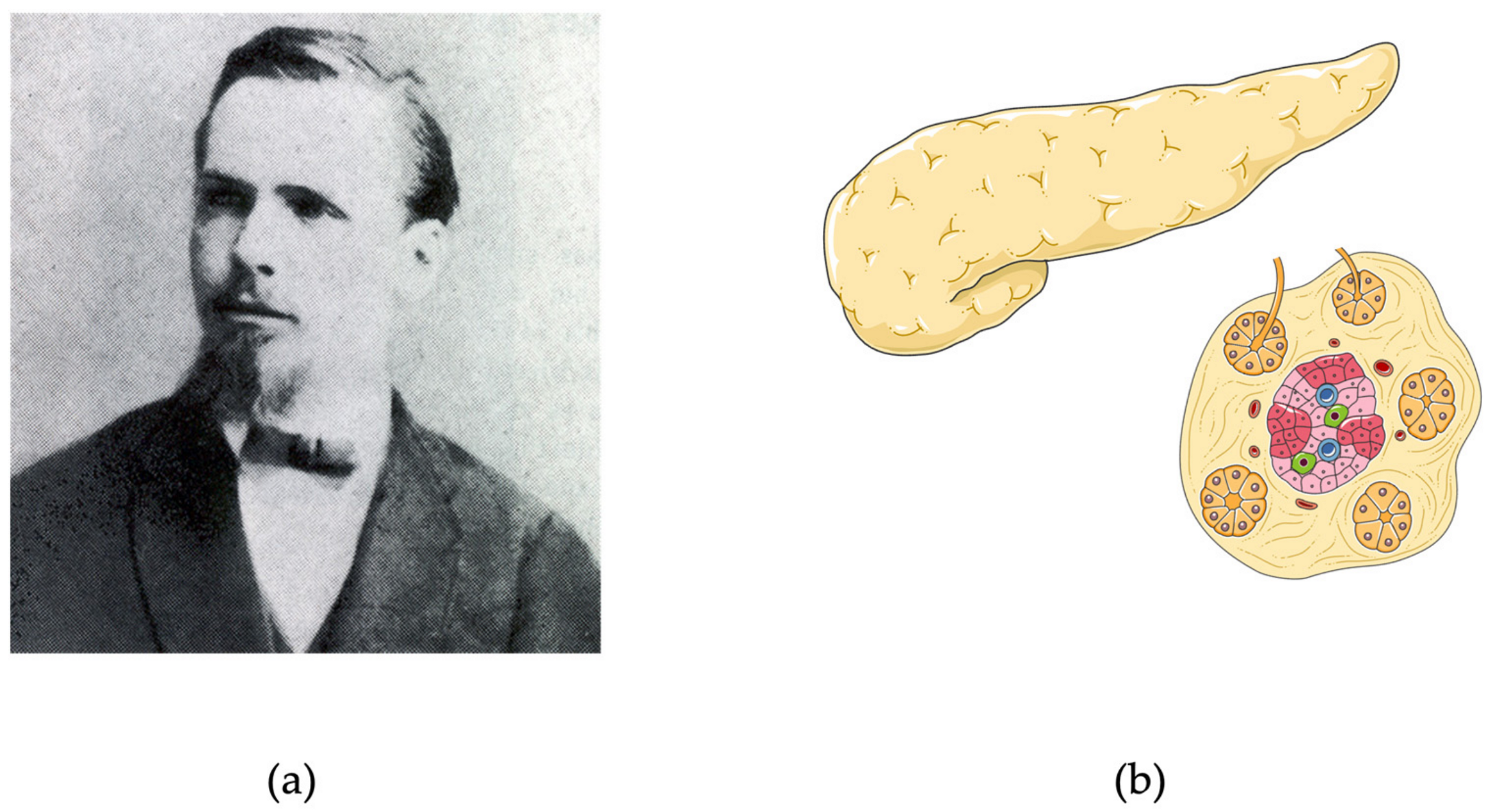 Biomedicines 12 00533 g001