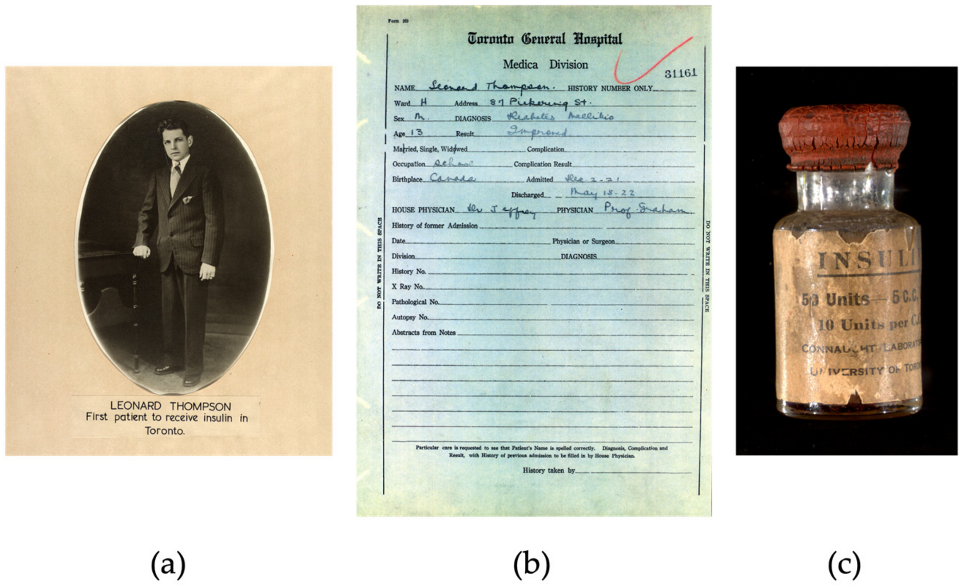 Biomedicines 12 00533 g003