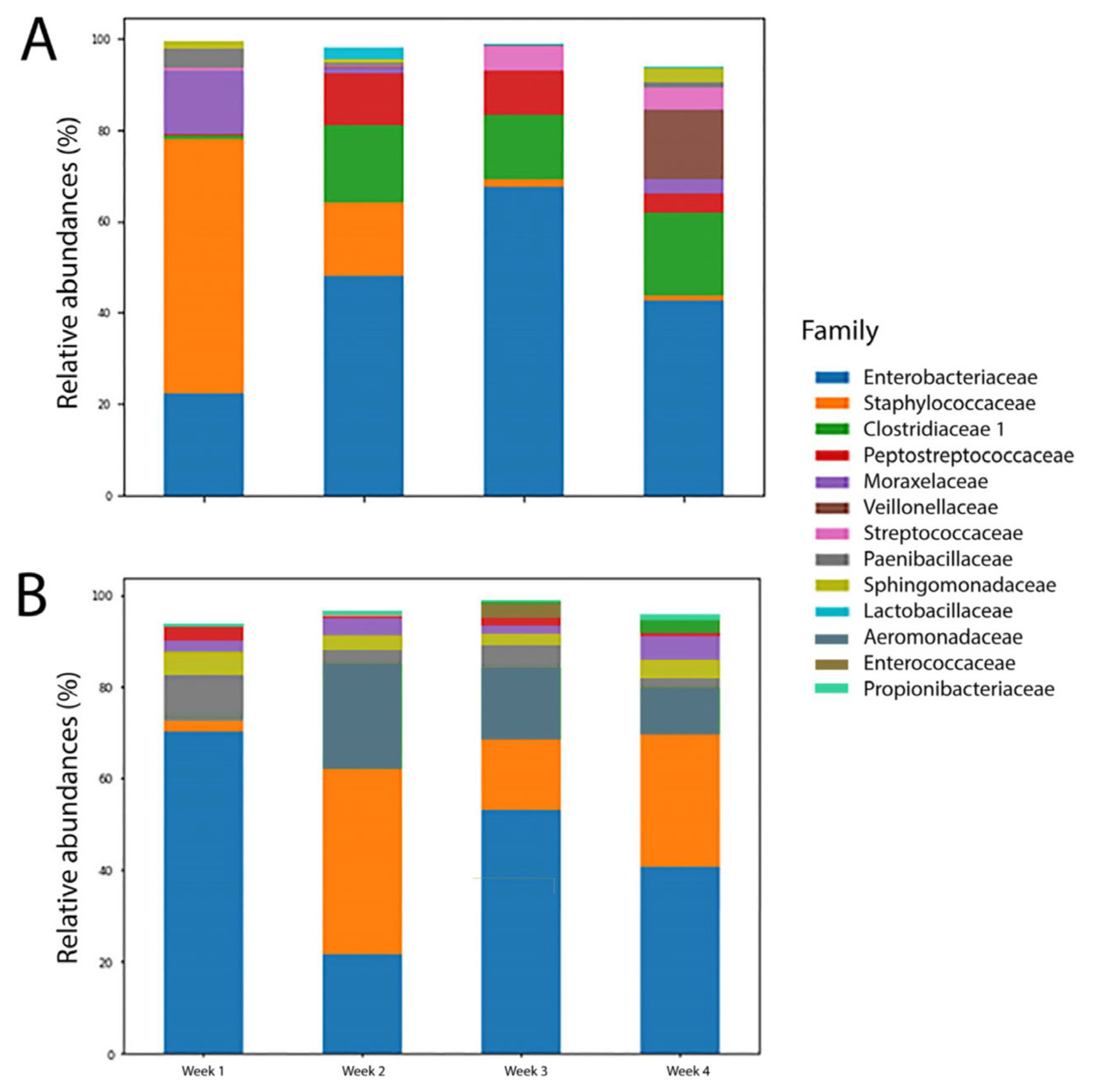 Biomedicines 12 00539 g004 Biomedicines 12 00539 g004
