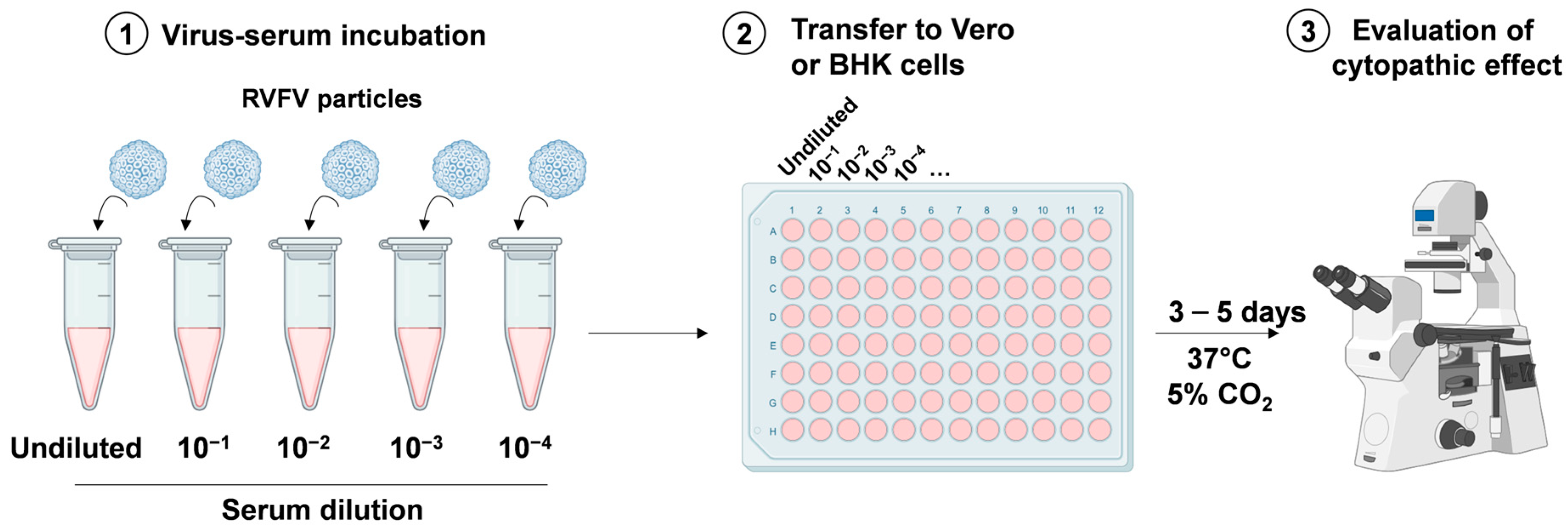 Biomedicines 12 00540 g004 Biomedicines 12 00540 g004