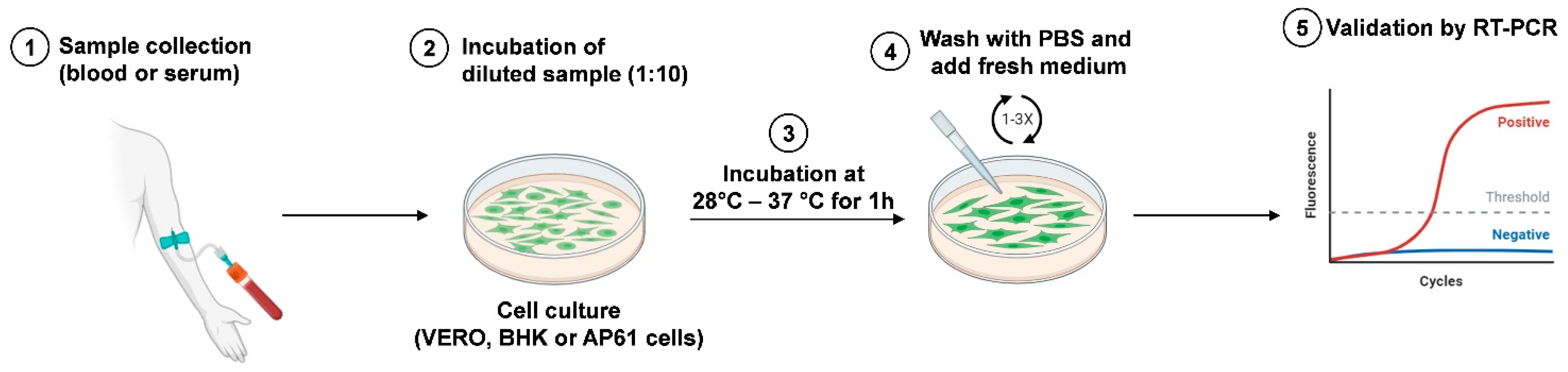 Biomedicines 12 00540 g005 Biomedicines 12 00540 g005