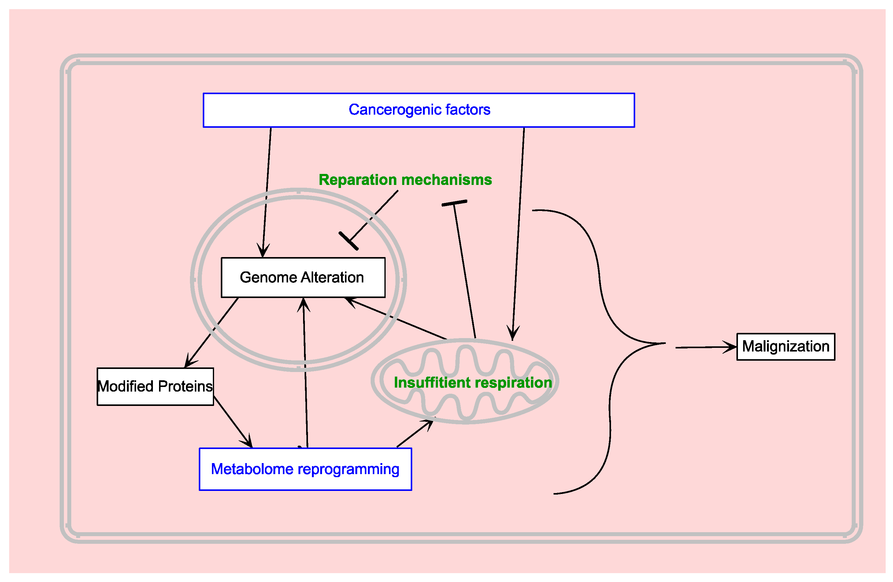 Biomedicines 12 00541 g002