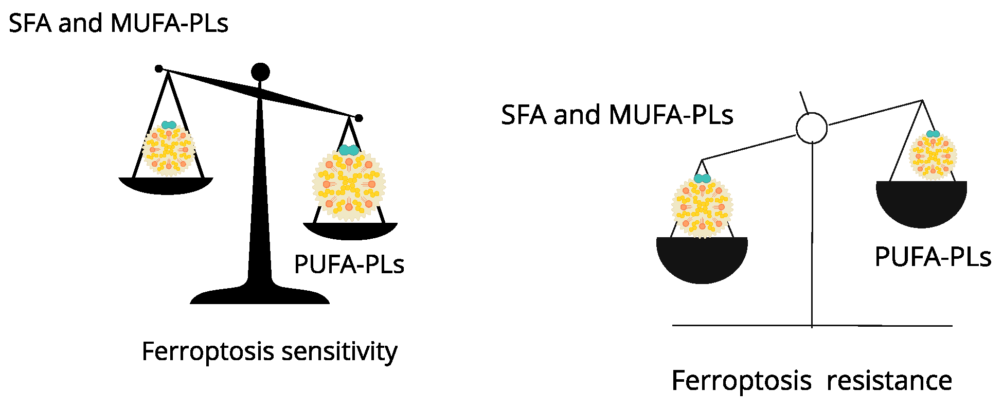 Biomedicines 12 00541 g004