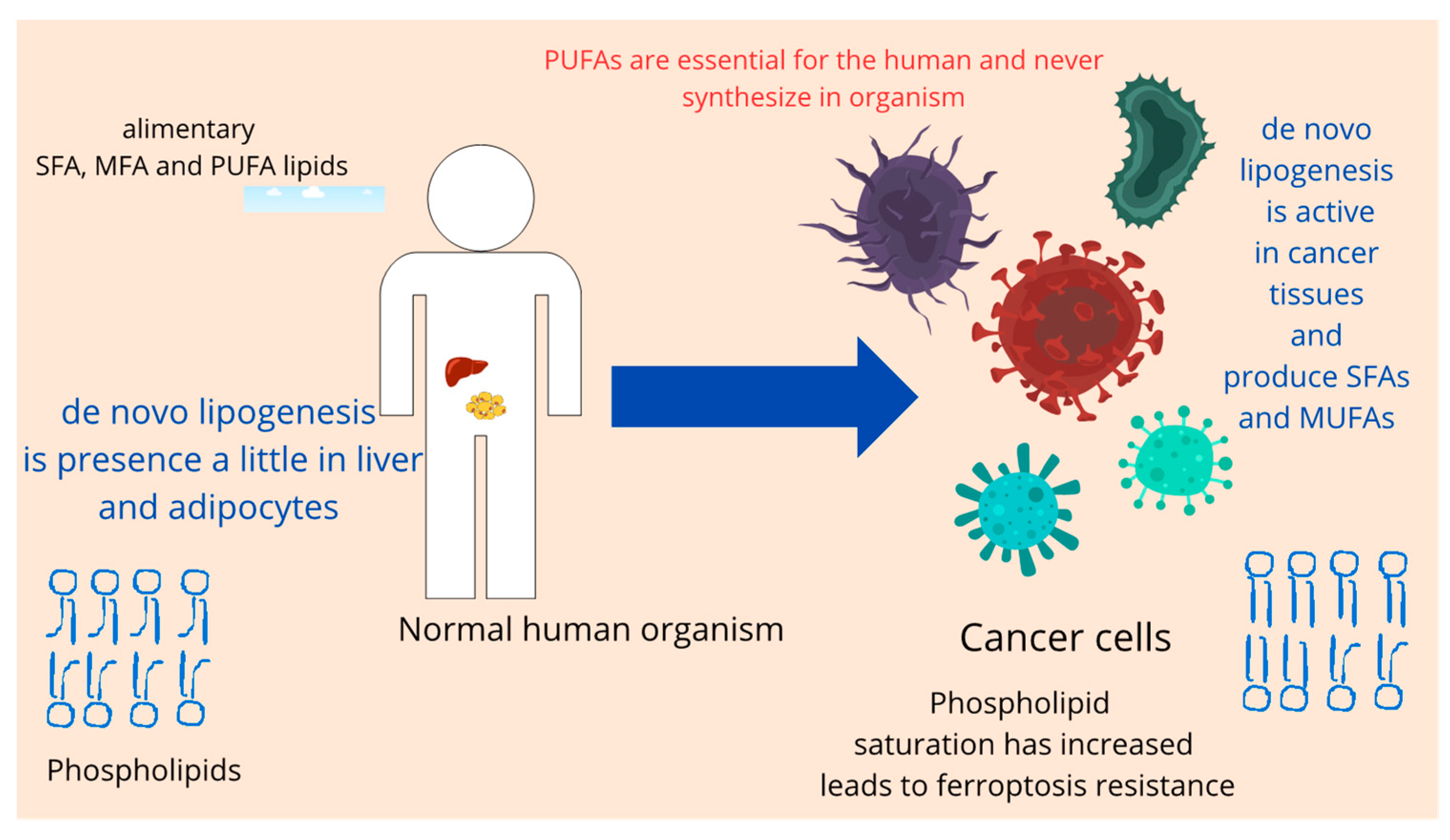 Biomedicines 12 00541 g006
