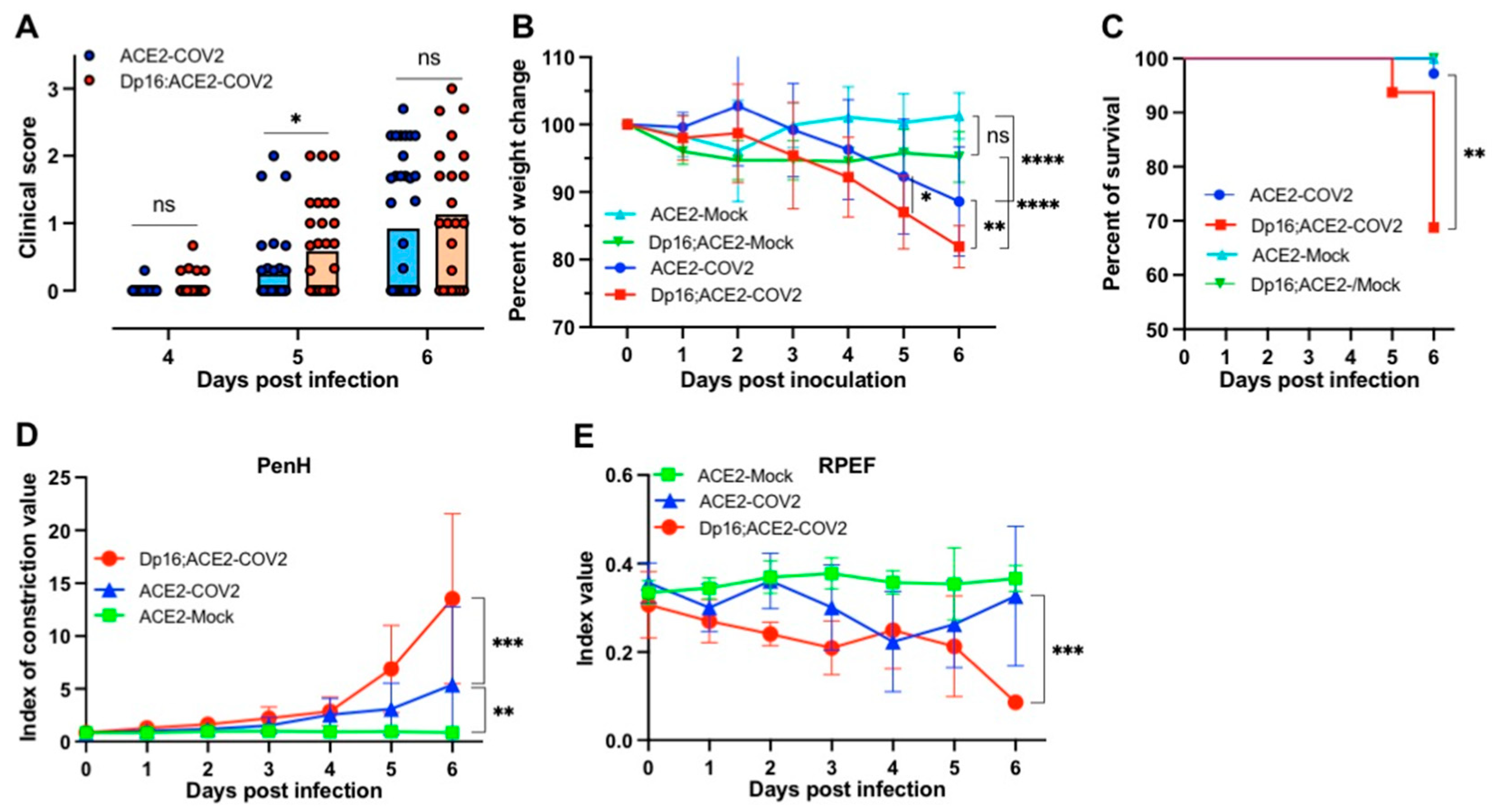 Biomedicines 12 00543 g001
