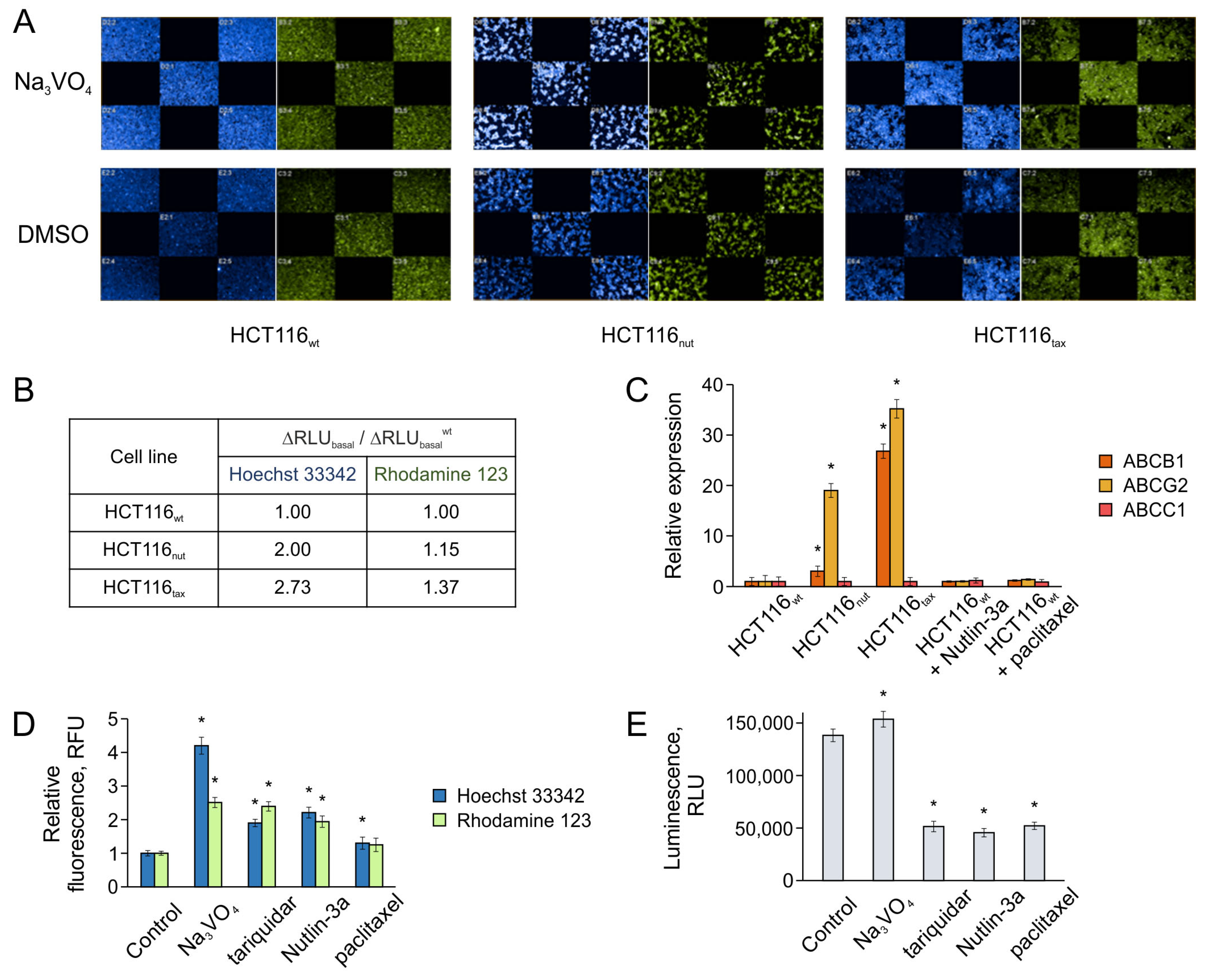 Biomedicines 12 00547 g003 Biomedicines 12 00547 g003