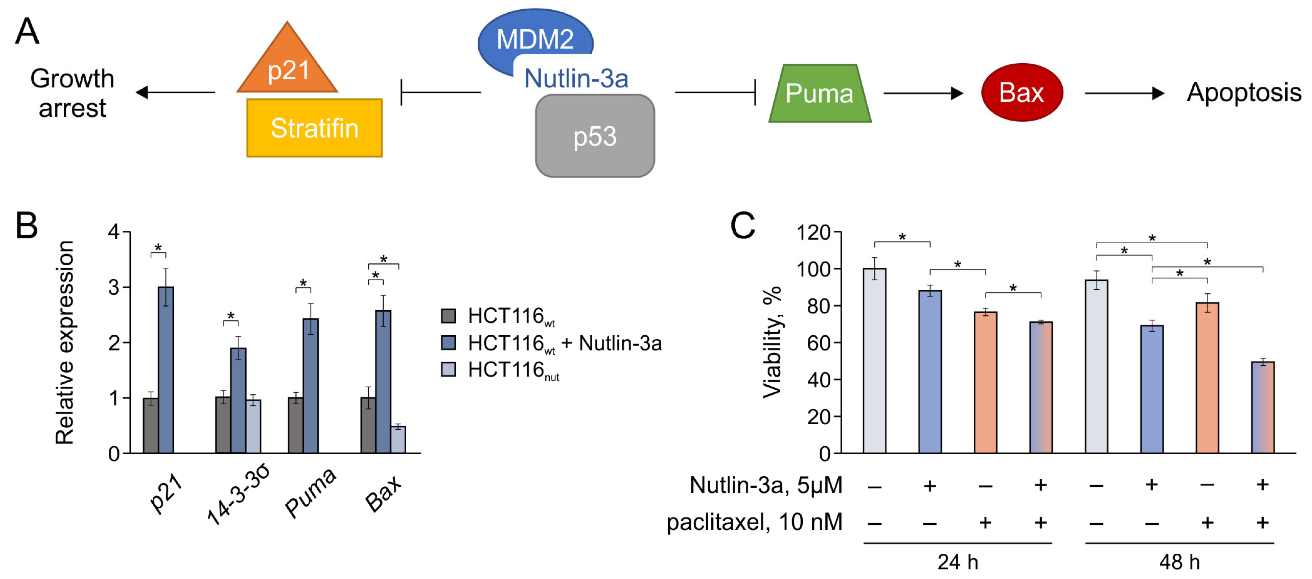 Biomedicines 12 00547 g004 Biomedicines 12 00547 g004