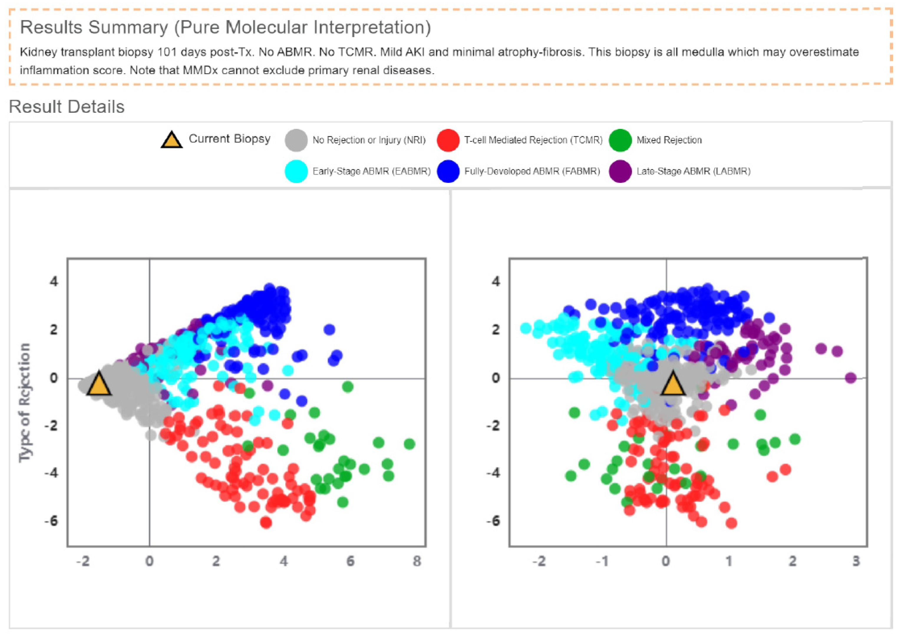 Biomedicines 12 00548 g002