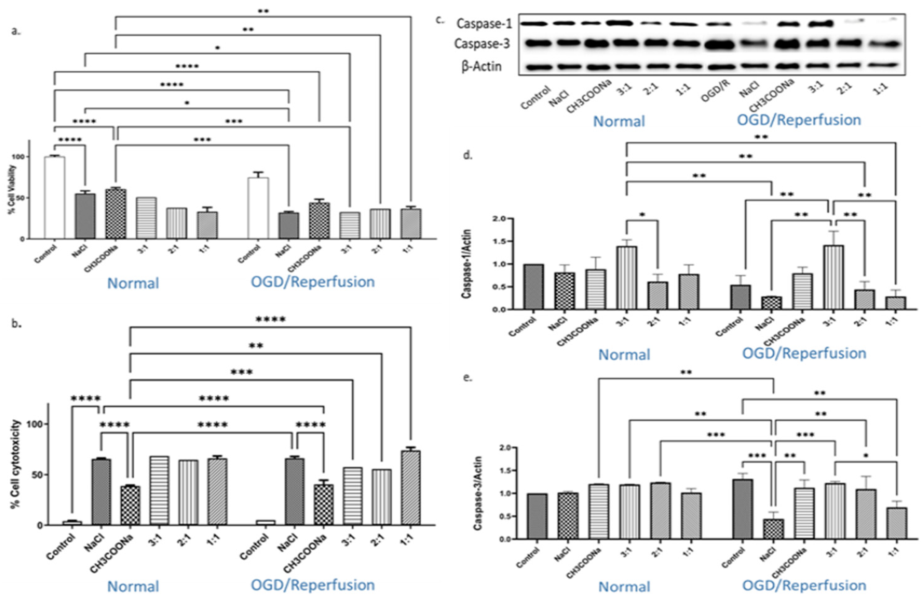Biomedicines 12 00551 g001