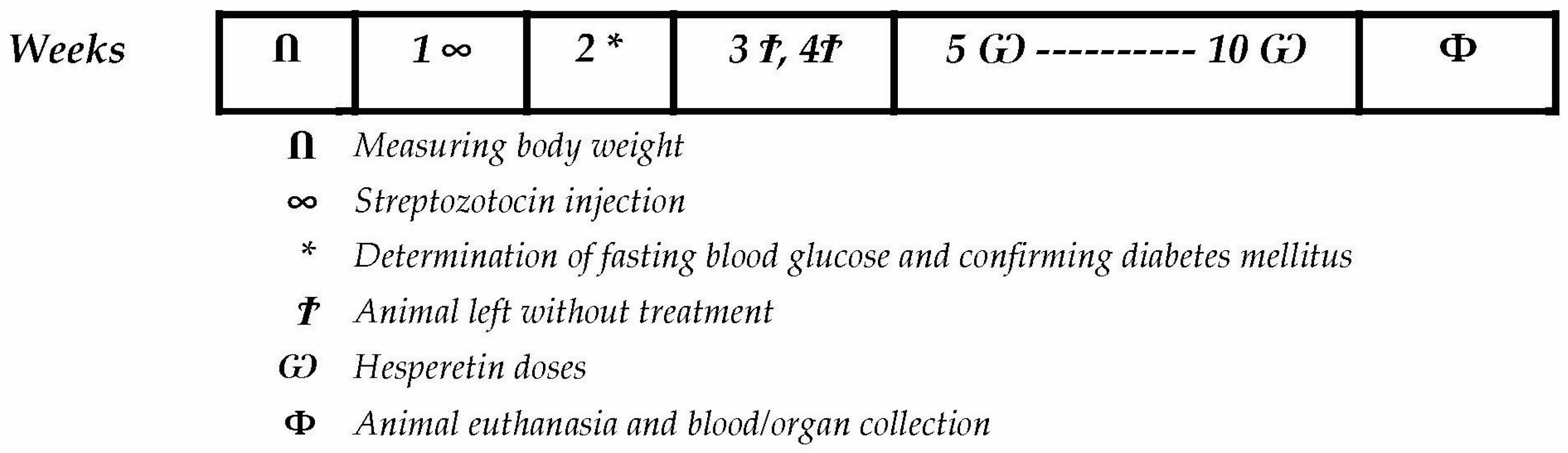 Biomedicines 12 00552 g001