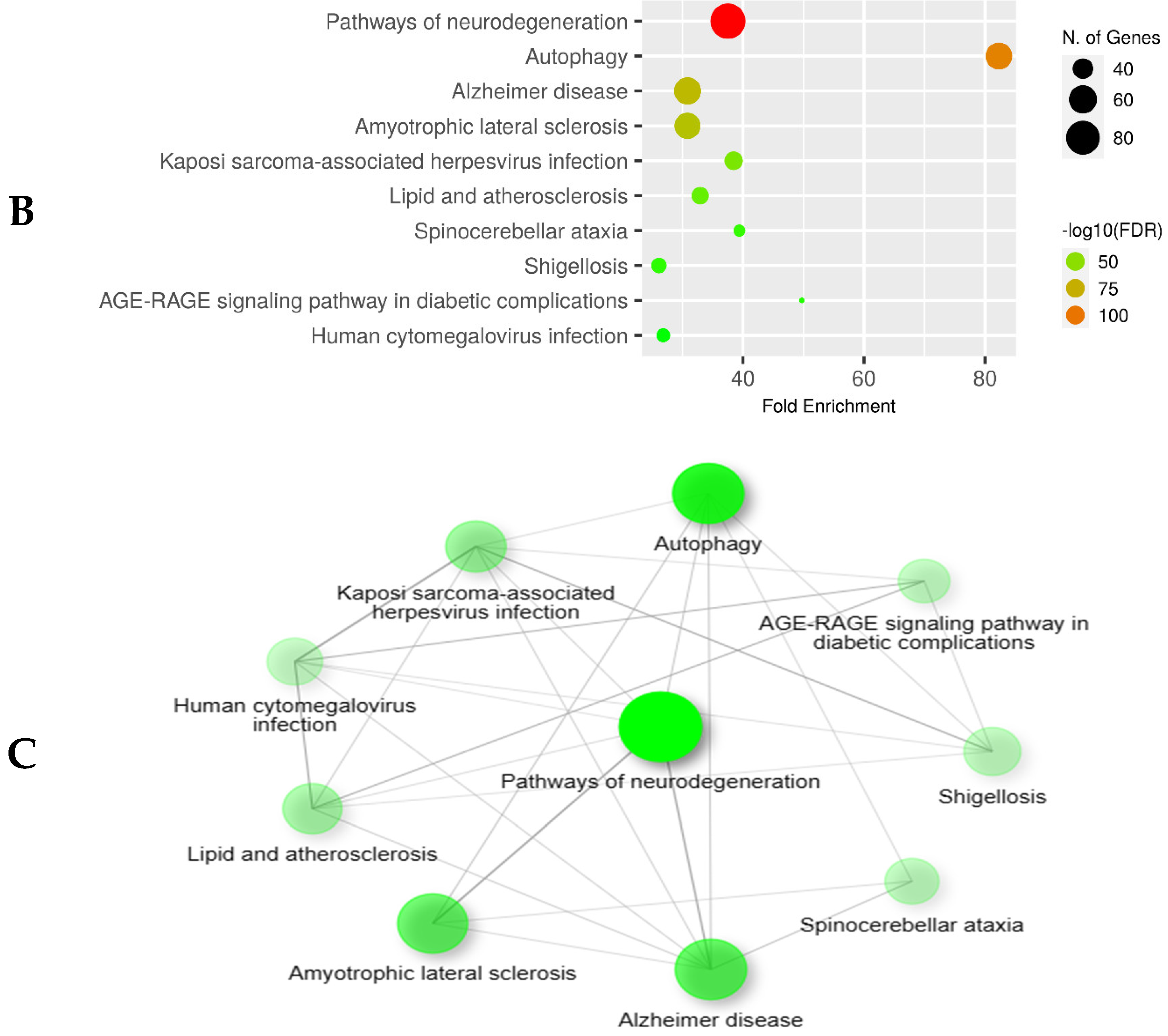 Biomedicines 12 00552 g003b