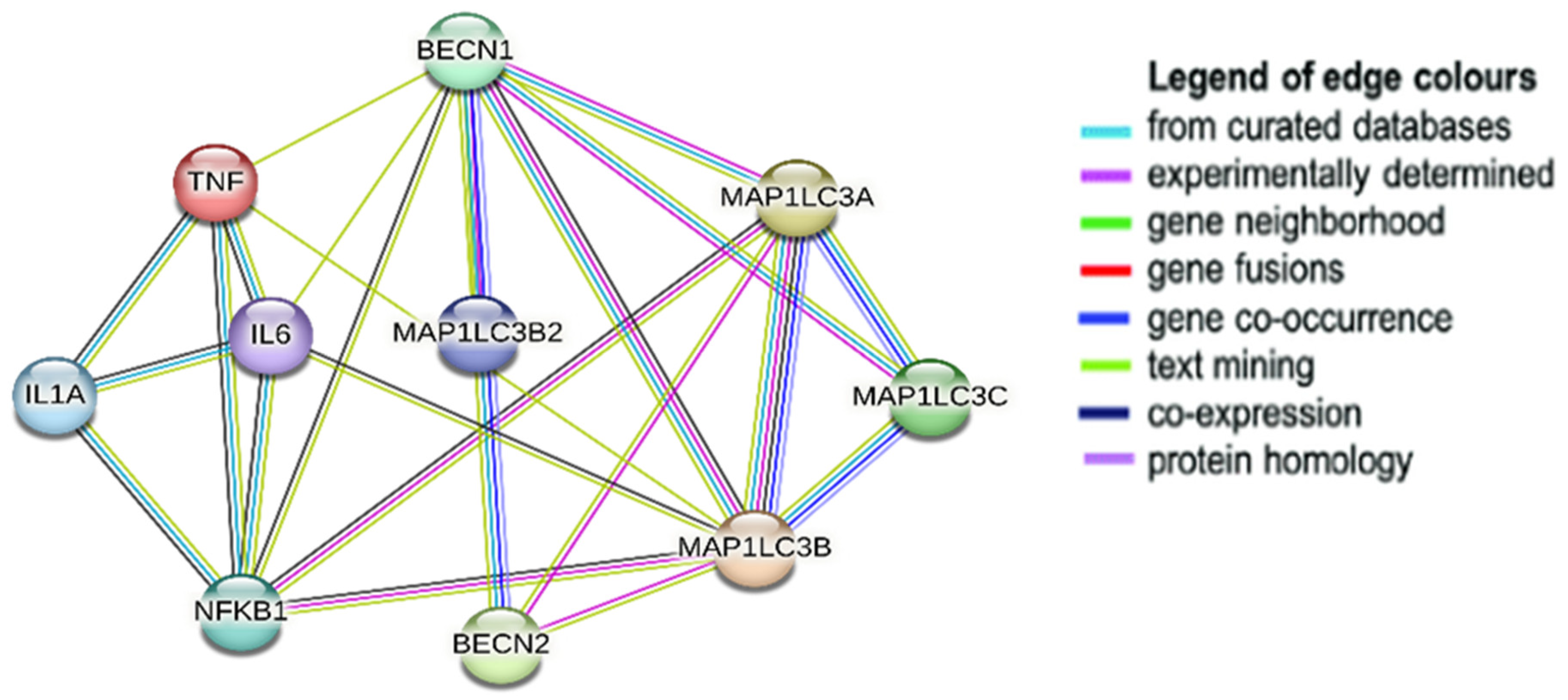 Biomedicines 12 00552 g004