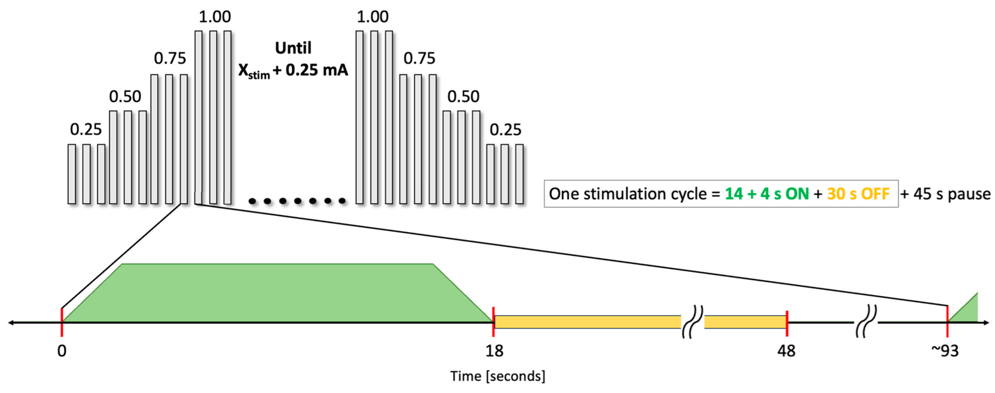 Biomedicines 12 00557 g001