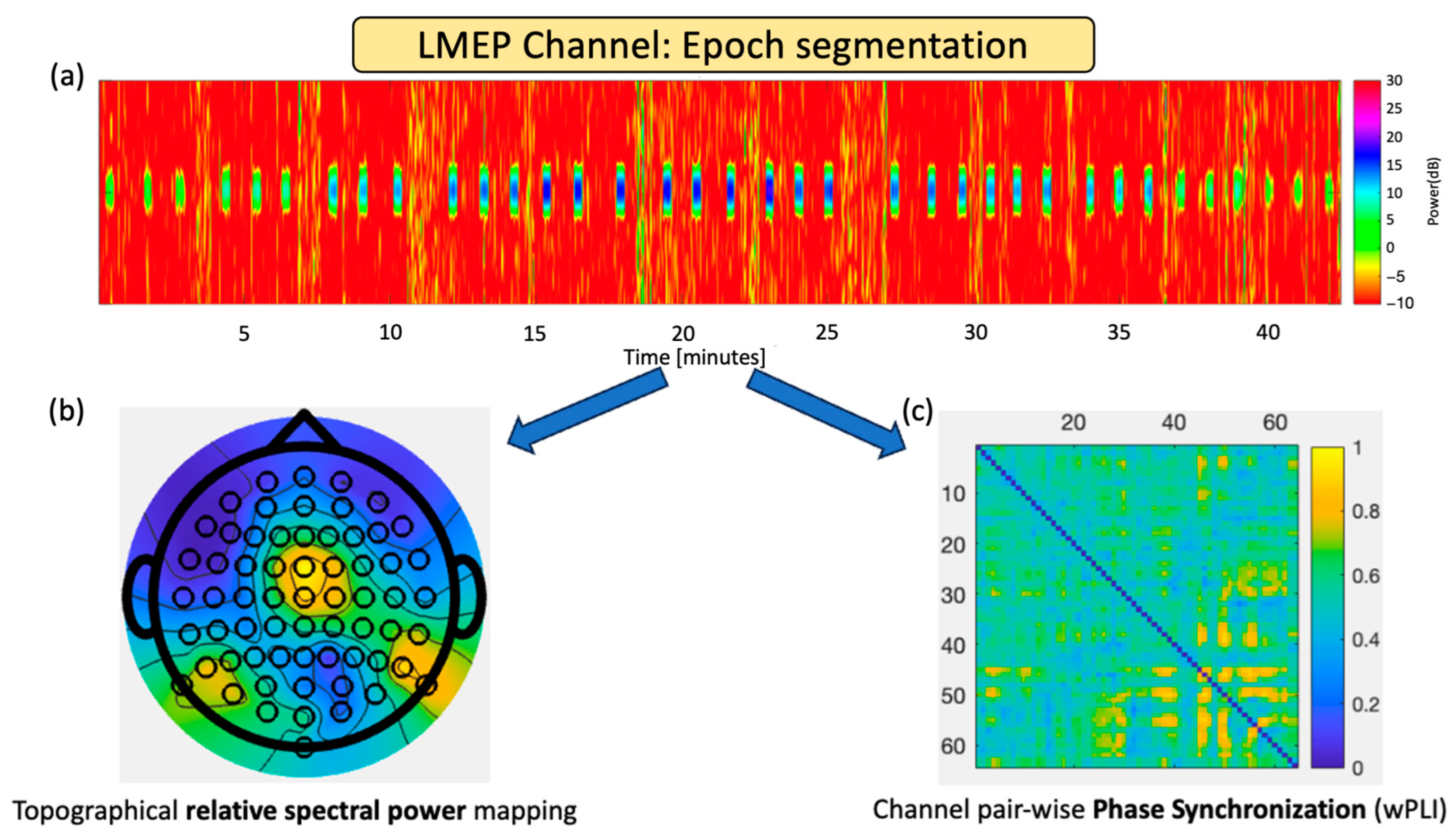 Biomedicines 12 00557 g002