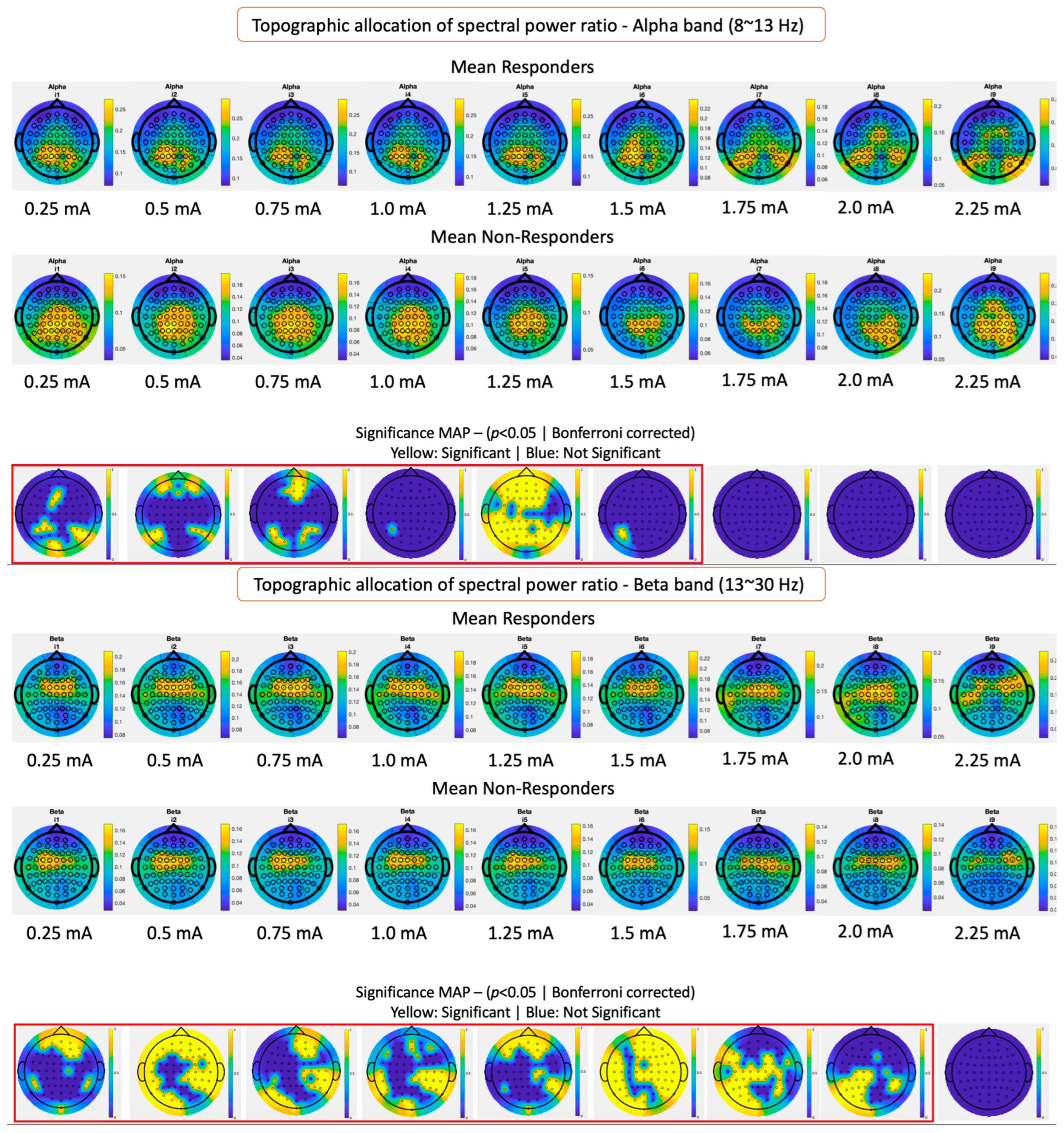 Biomedicines 12 00557 g003b