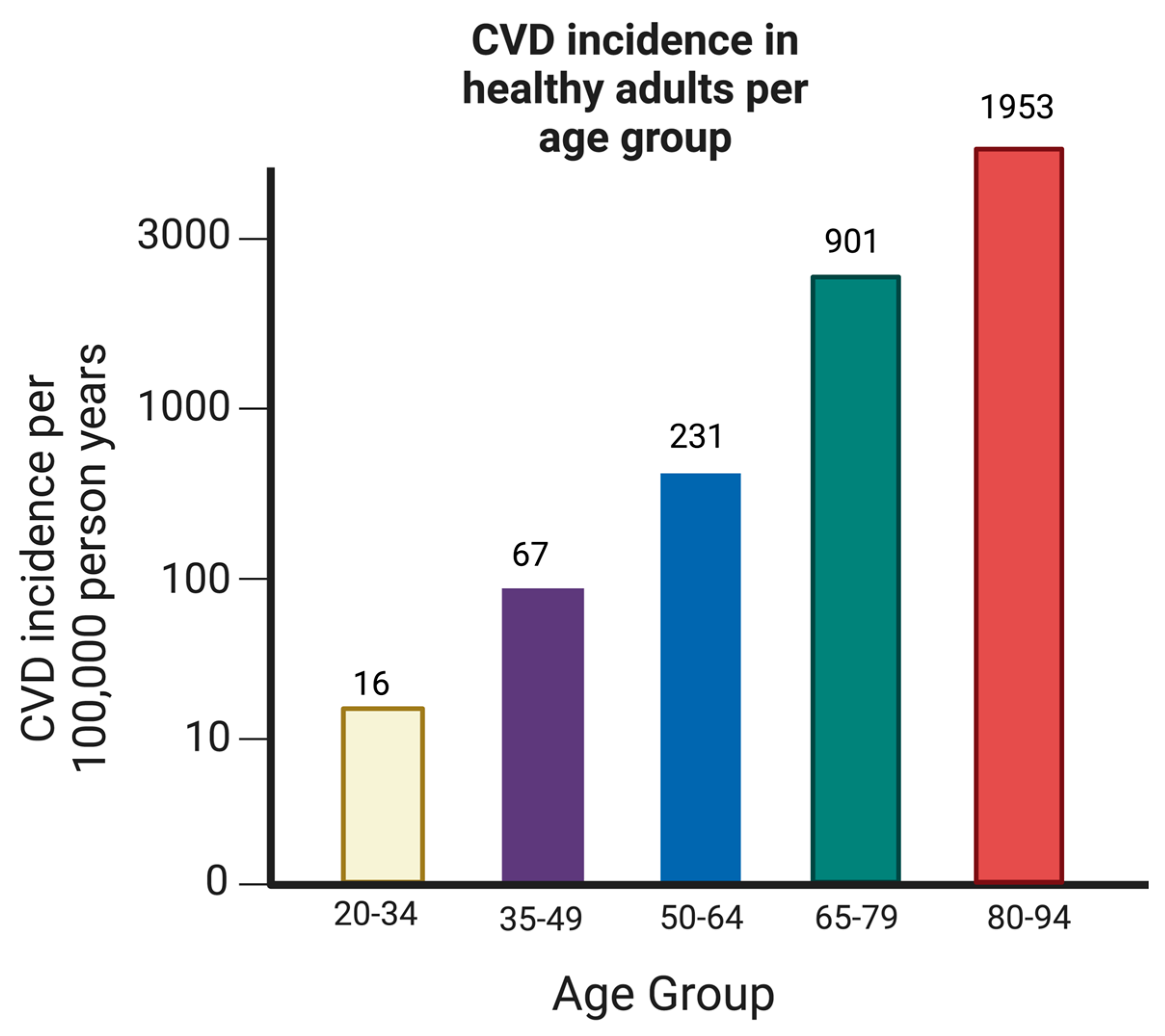 Biomedicines 12 00558 g004