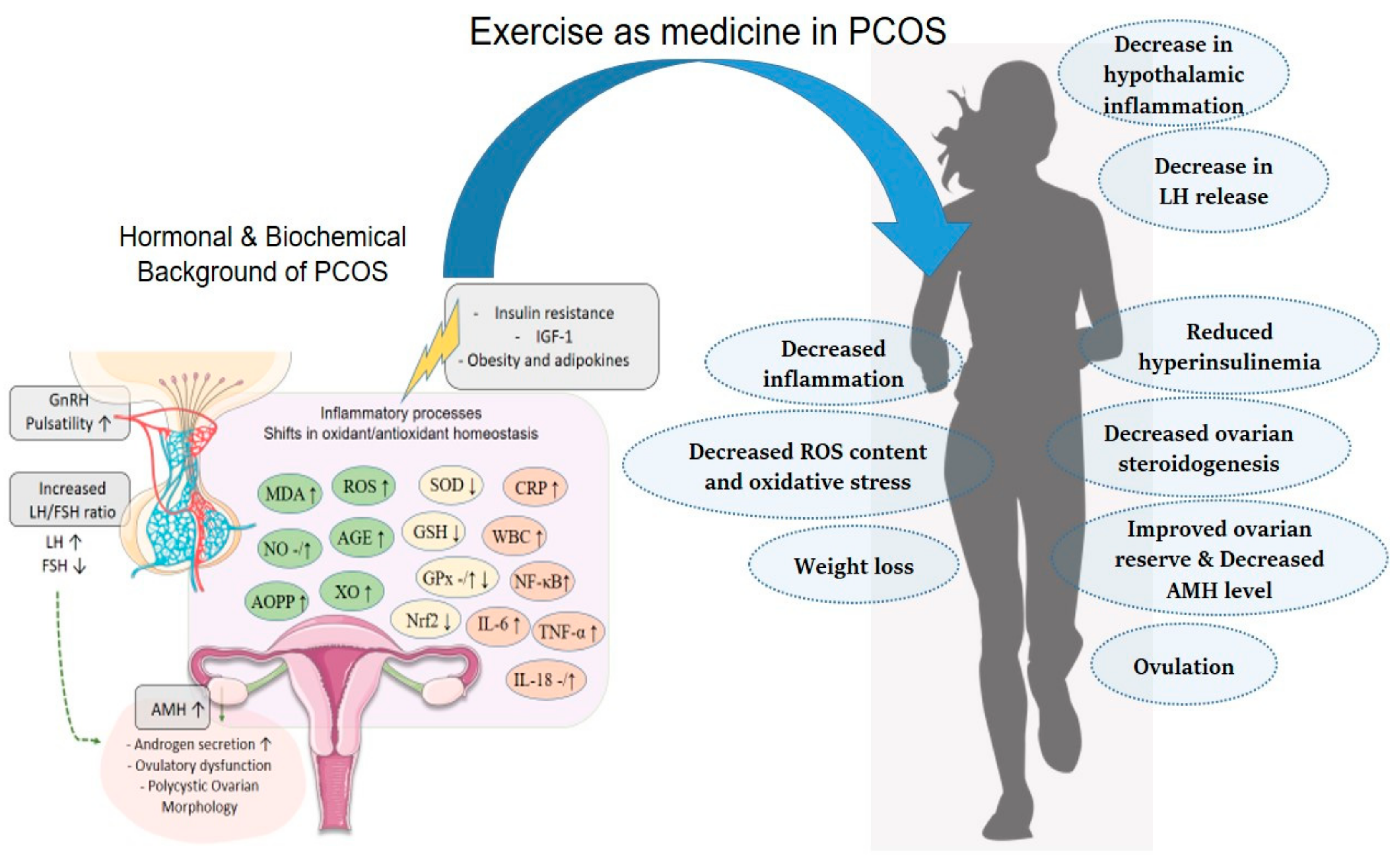 Biomedicines 12 00560 g002