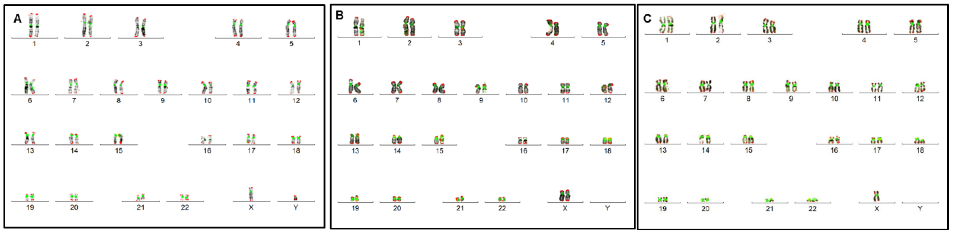 Biomedicines 12 00565 g001