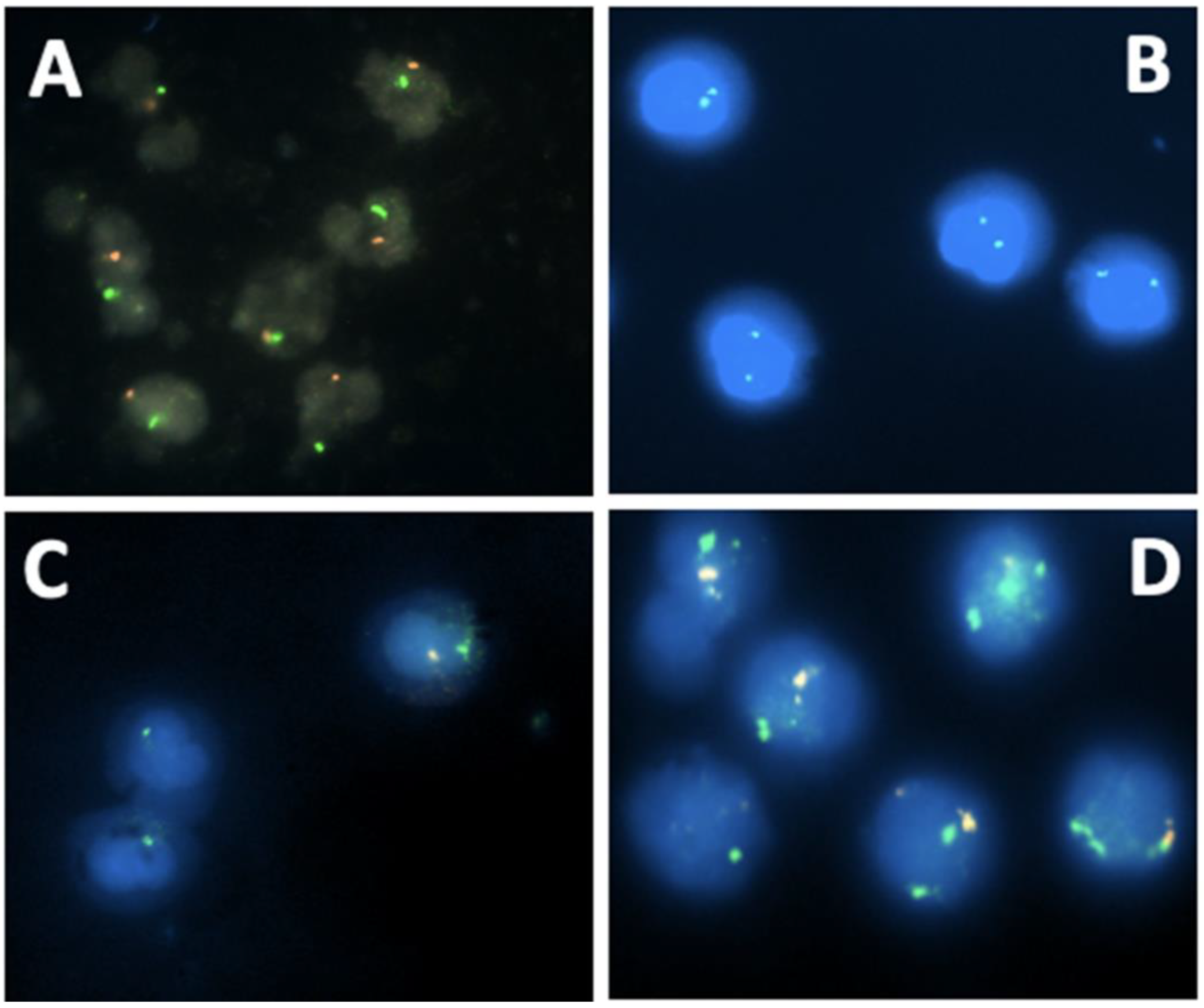 Biomedicines 12 00565 g002