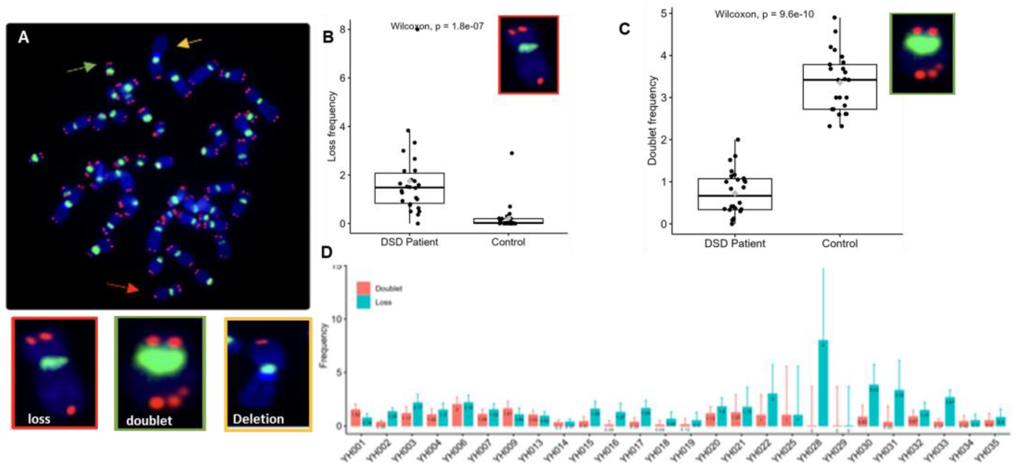 Biomedicines 12 00565 g005