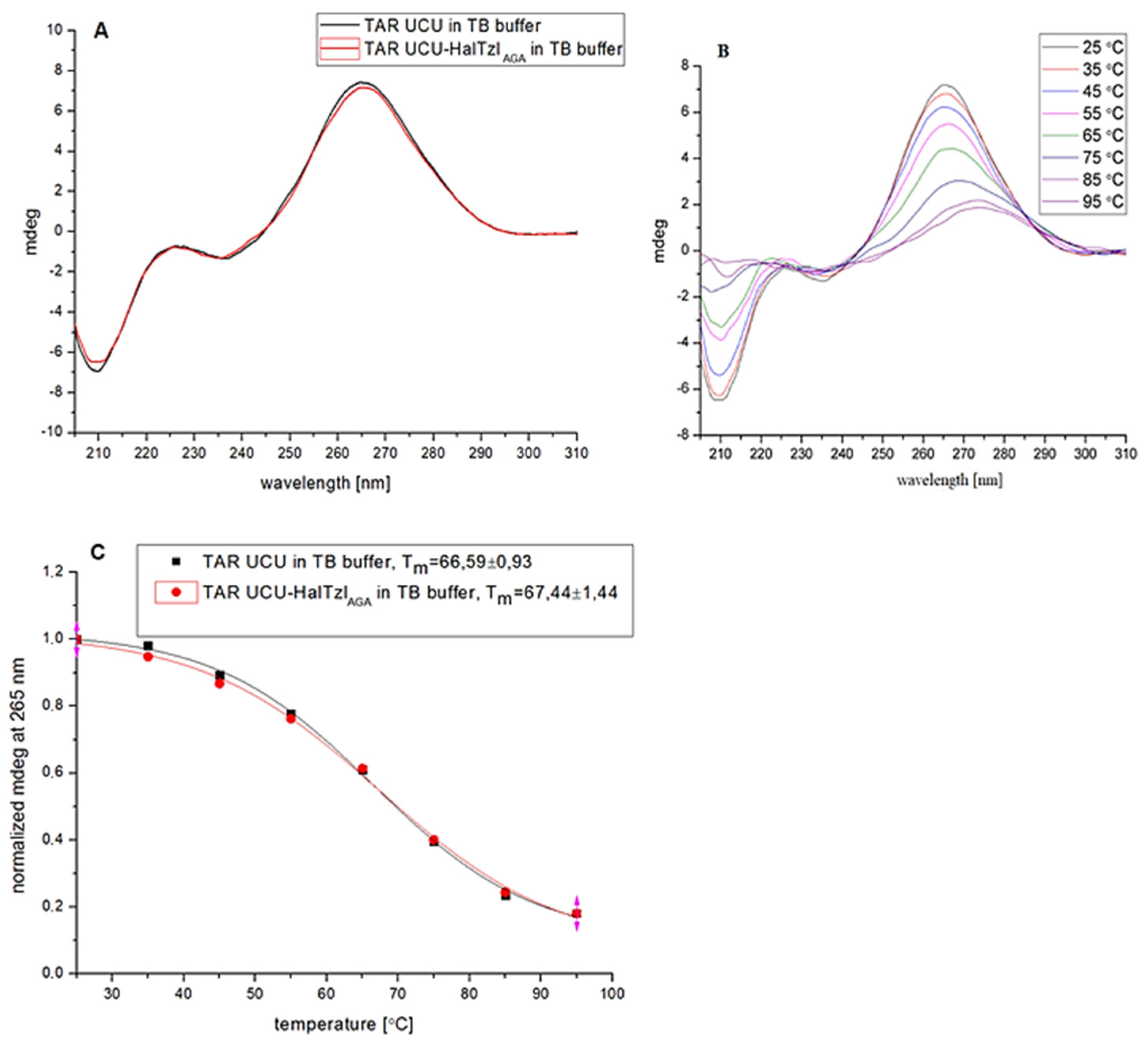 Biomedicines 12 00570 g006 Biomedicines 12 00570 g006