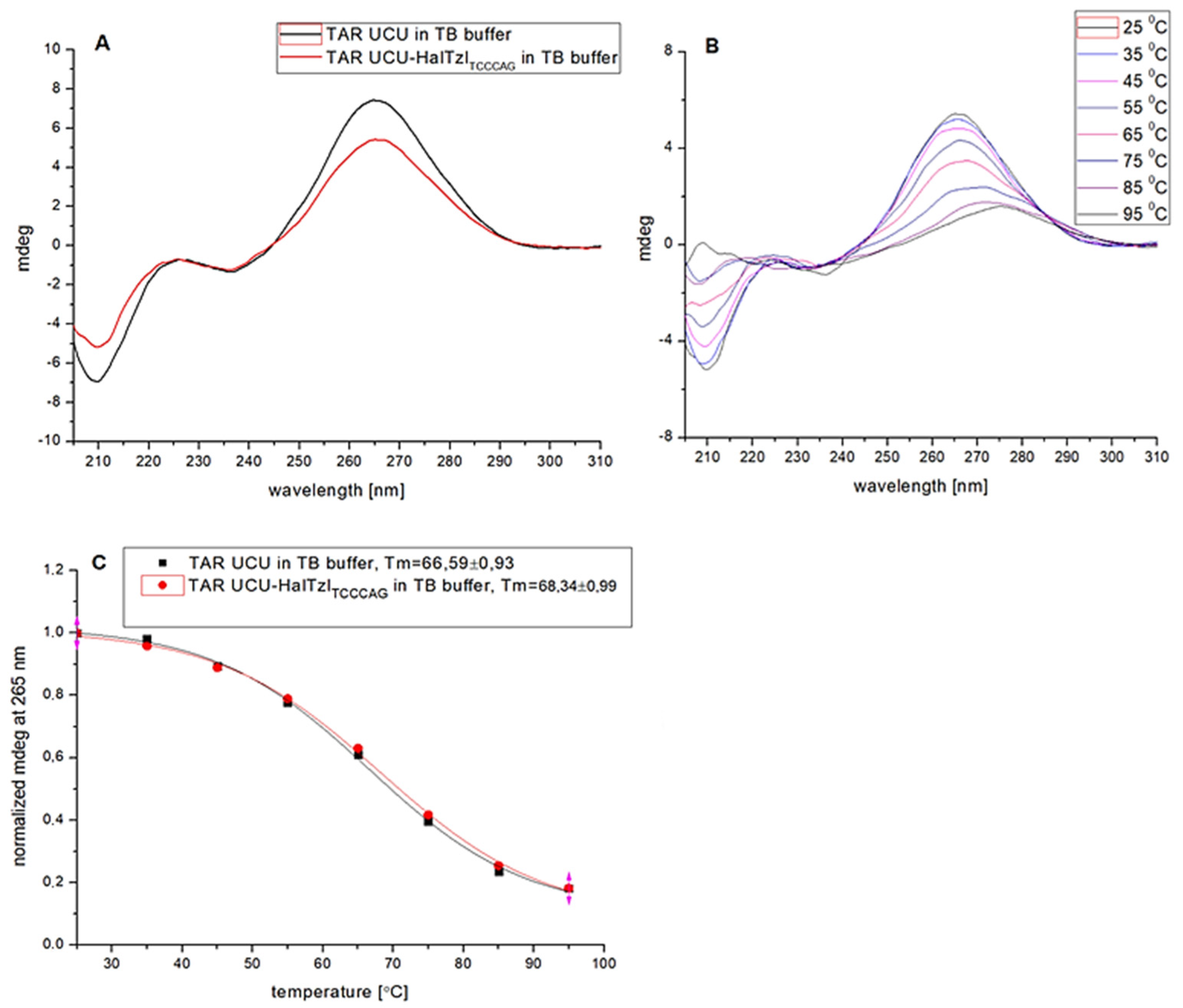 Biomedicines 12 00570 g007 Biomedicines 12 00570 g007