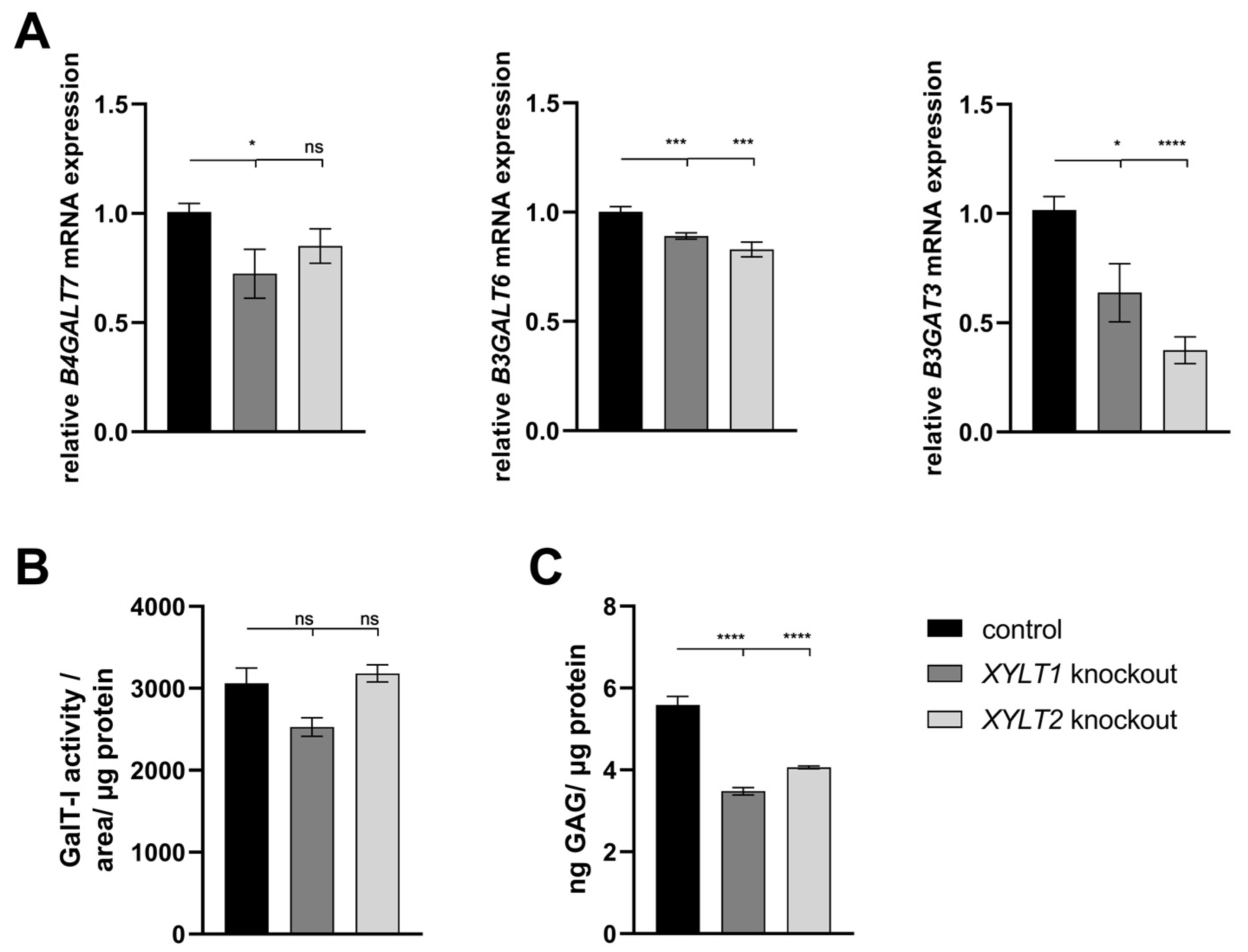 Biomedicines 12 00572 g002