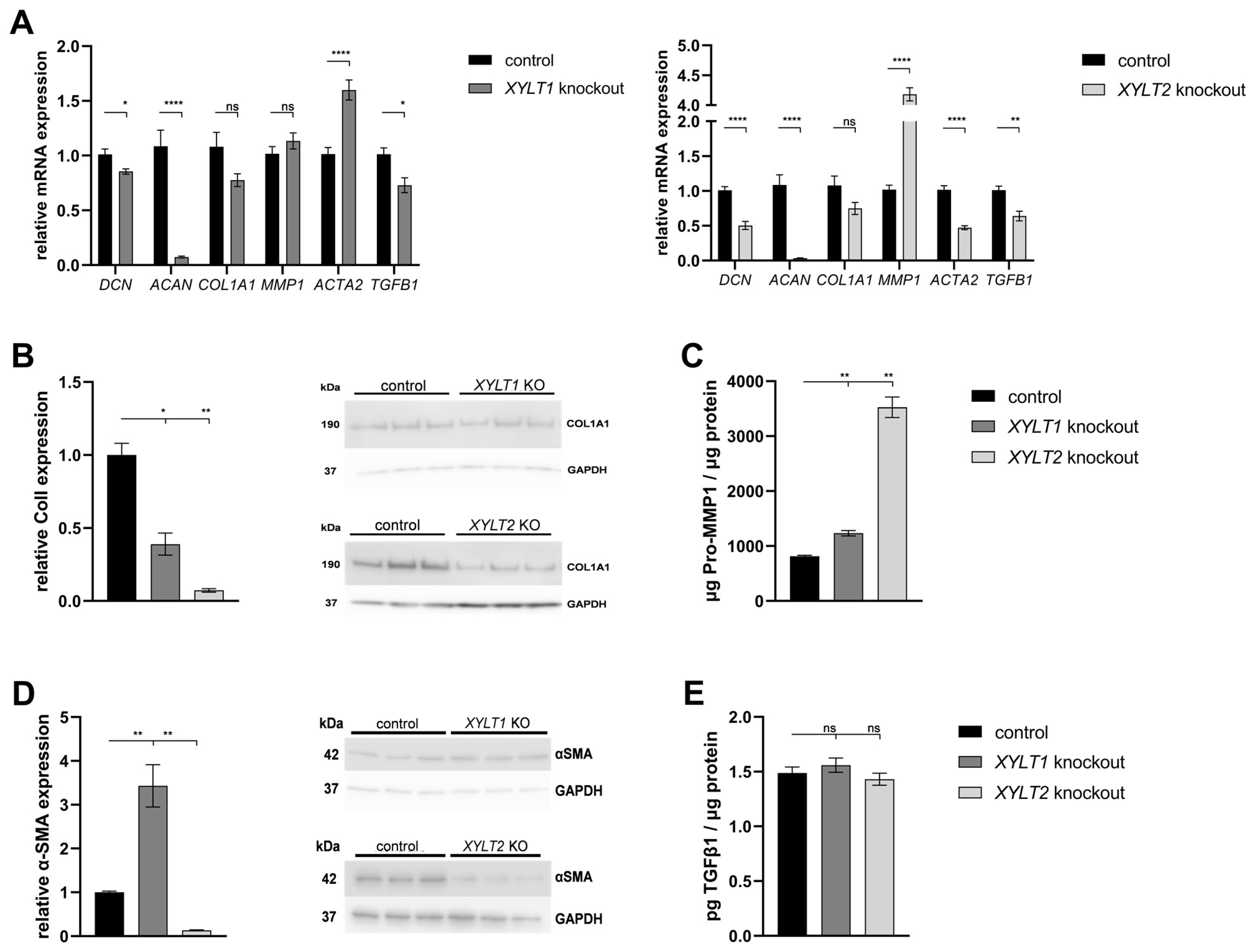 Biomedicines 12 00572 g003