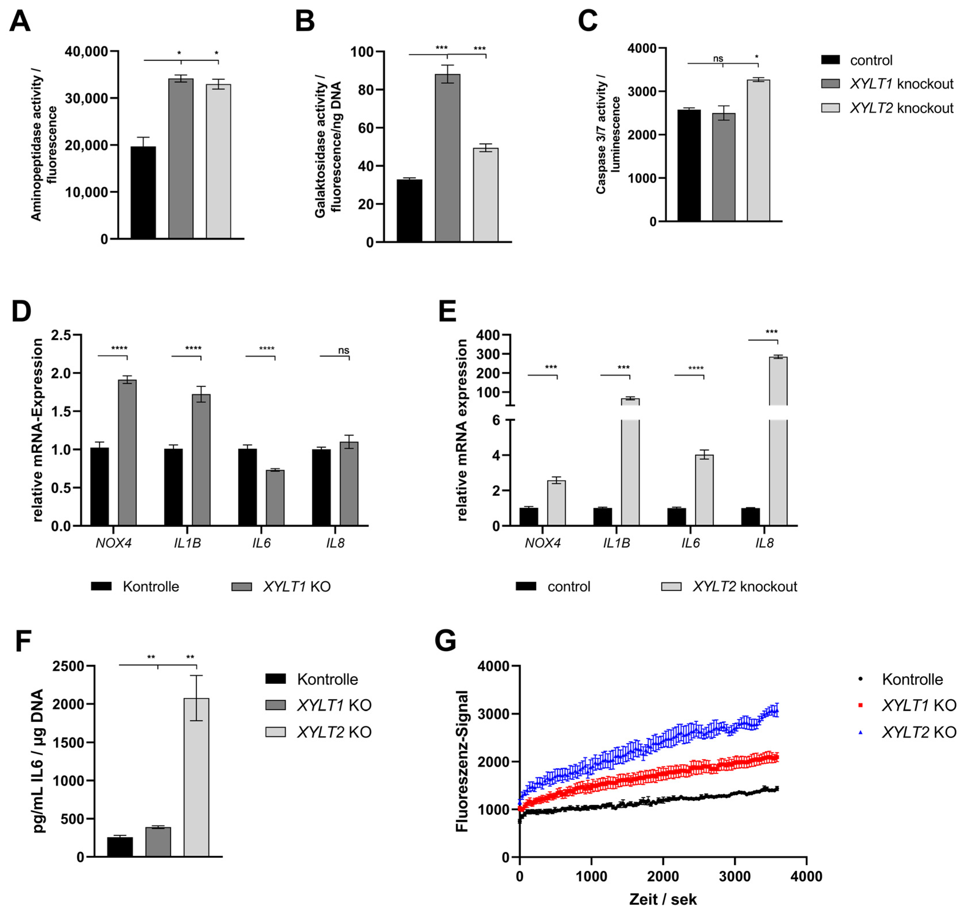 Biomedicines 12 00572 g004