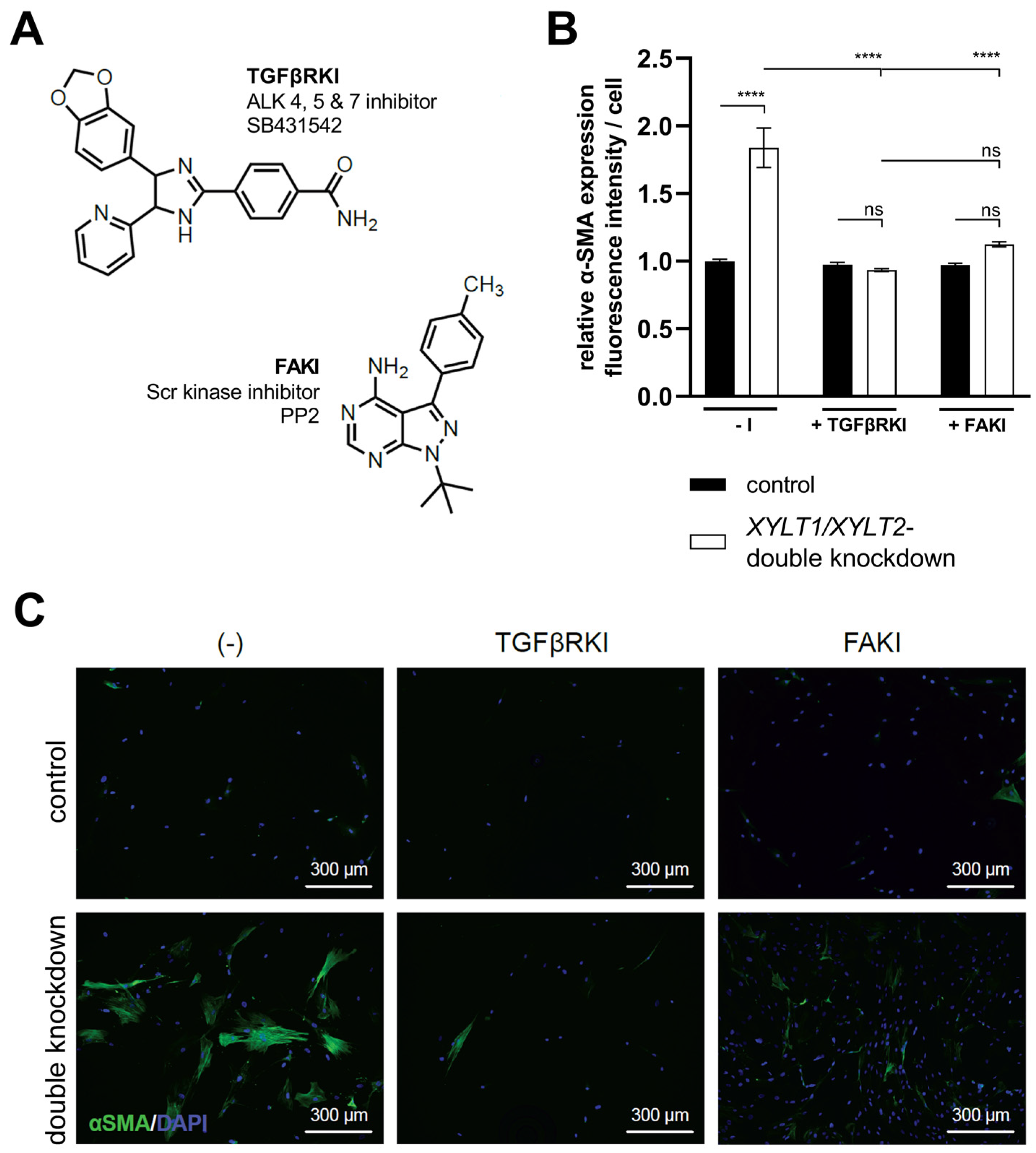 Biomedicines 12 00572 g008