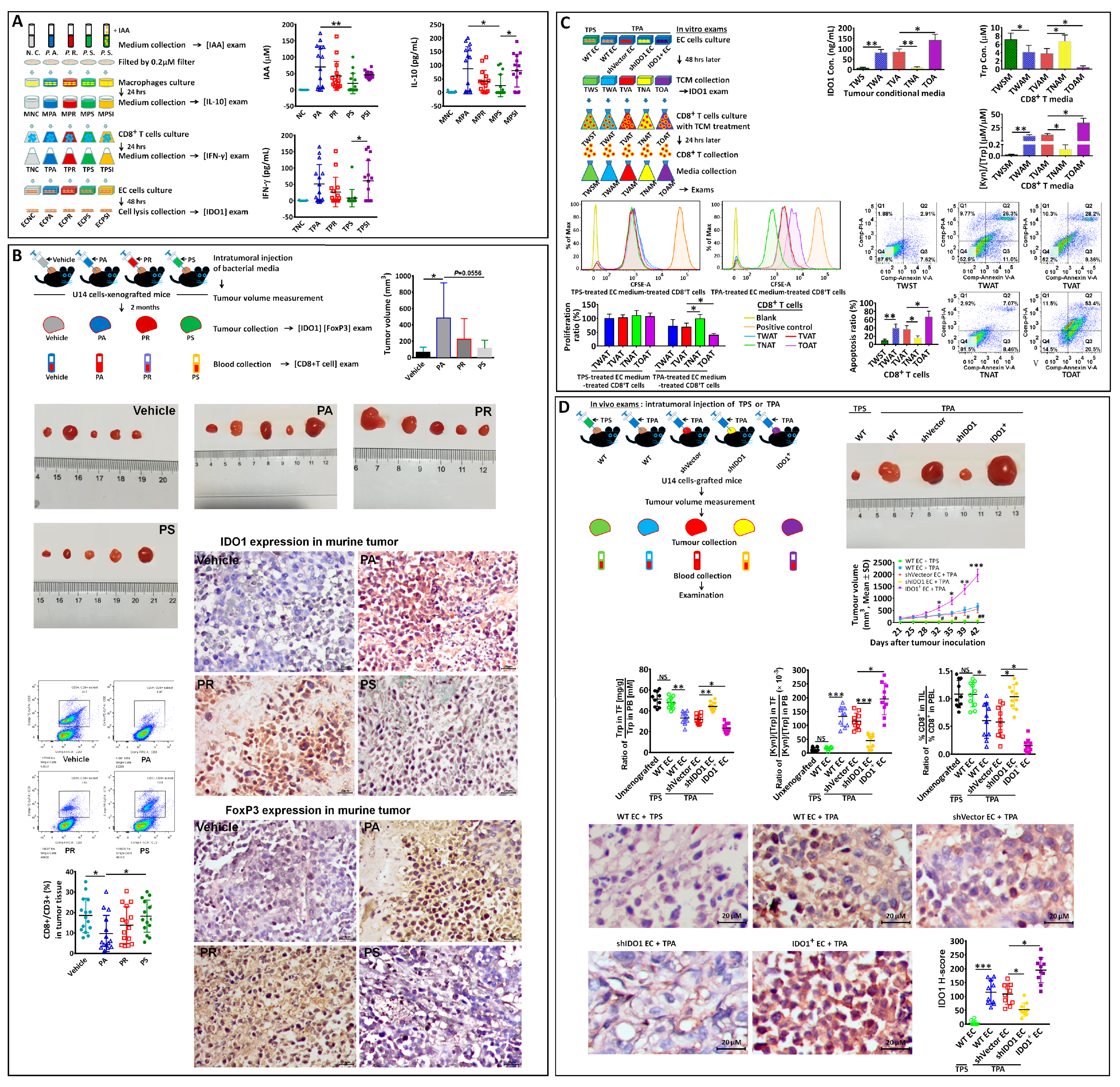 Biomedicines 12 00573 g005