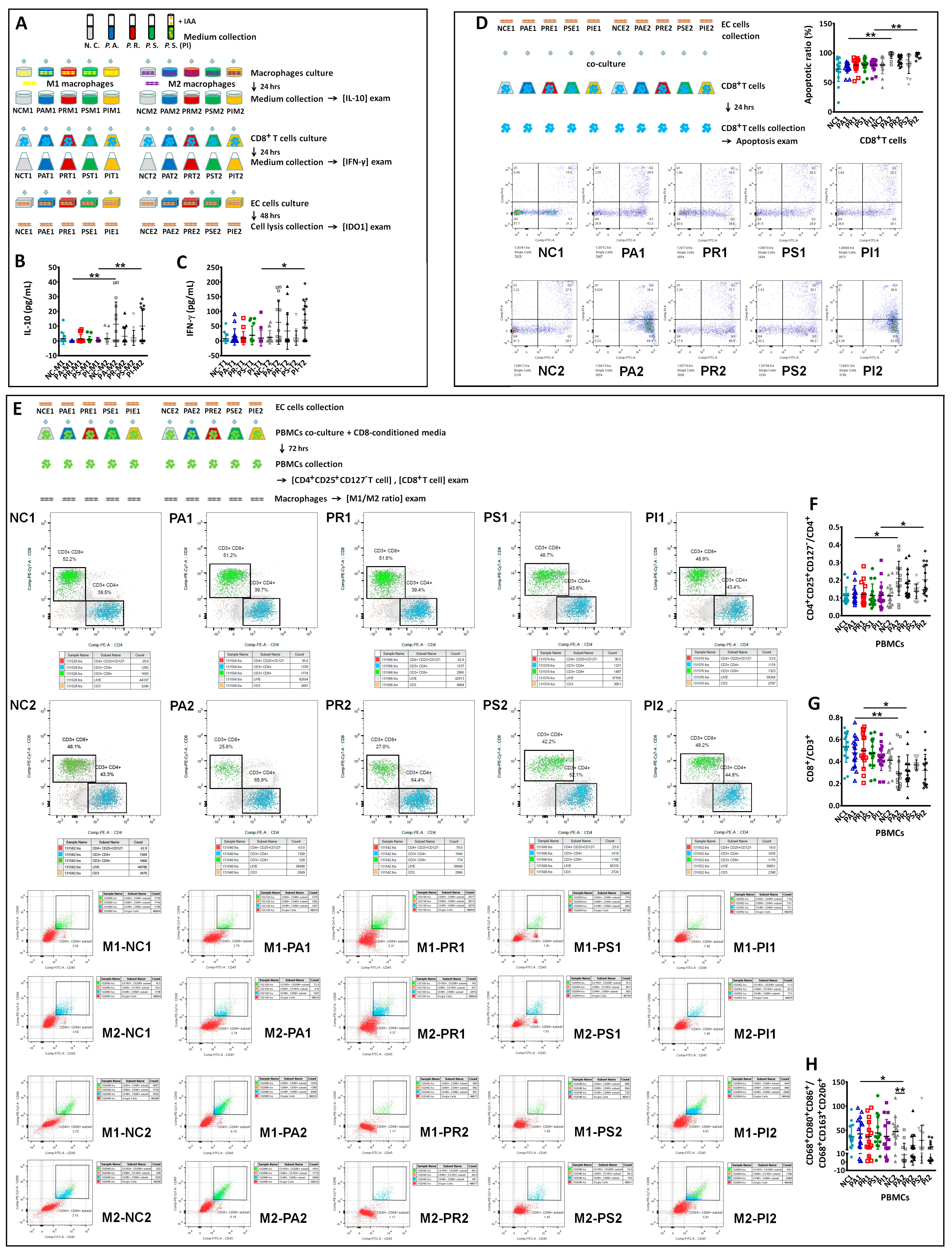 Biomedicines 12 00573 g007