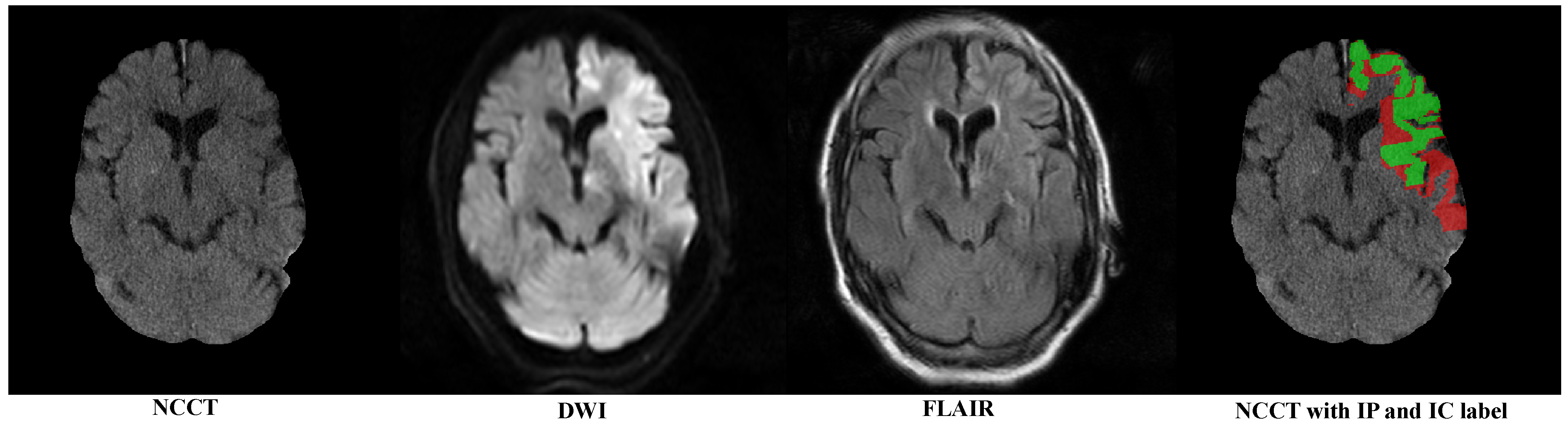 Biomedicines 12 00580 g001