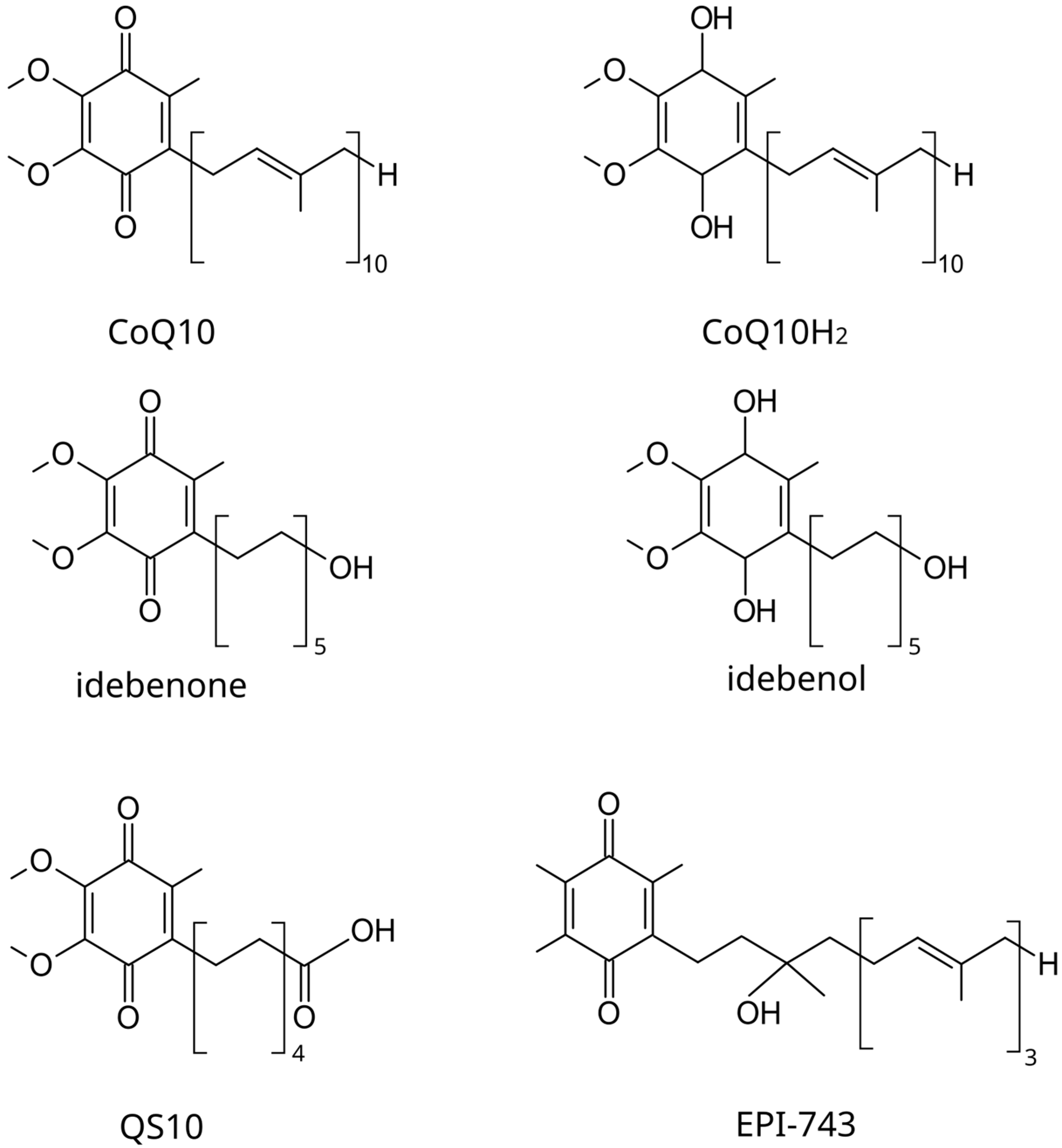 Biomedicines 12 00584 g004 Biomedicines 12 00584 g004